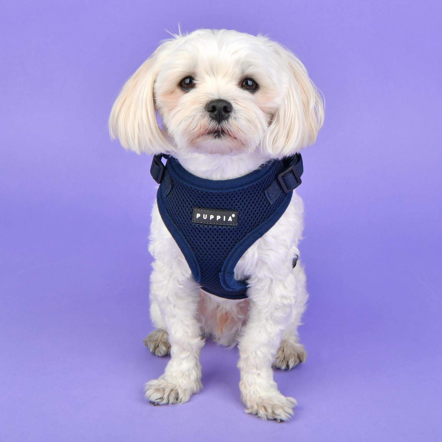 Puppia Authentic Ritefit Harness With Adjustable Neck Orange, Medium