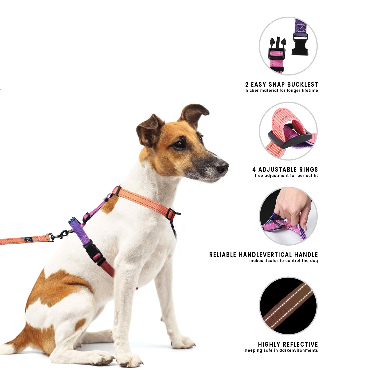Roses&Poetry Dog Harness With Leash, No Pull Adjustable Harness Leash, Reflective Dog Halter Harnesses Comfort Padded Handle, Pe