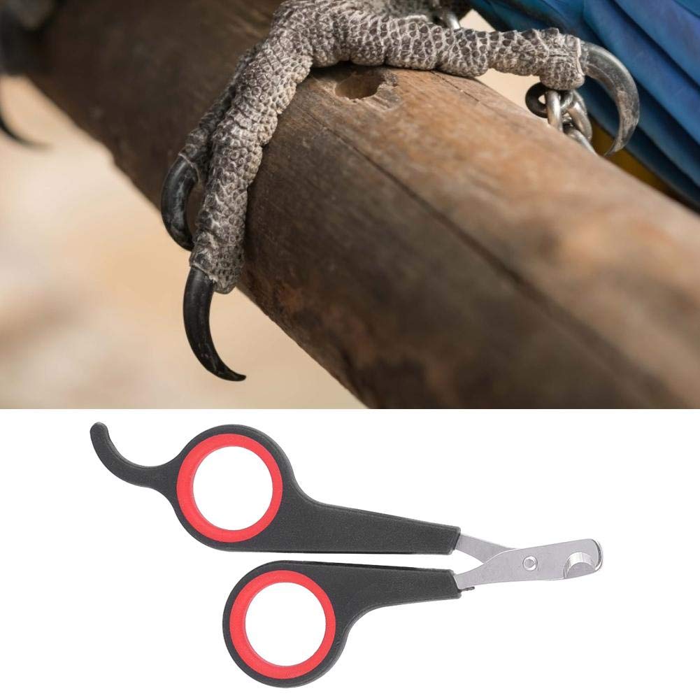 Bird Nail Clipper Grooming Tool Nail Scissors Clipper Pet Bird Parrot Small Animals Accessory For Small Parrot Birds