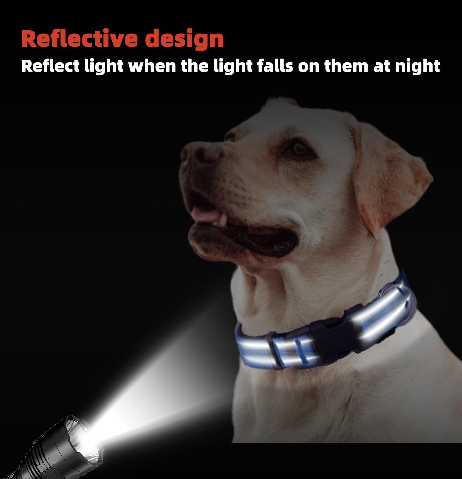 Blue Dog Collar, Reflective Pet Collar with Buckle Adjustable Safety Nylon Collars for Small Medium Large Dogs, XS