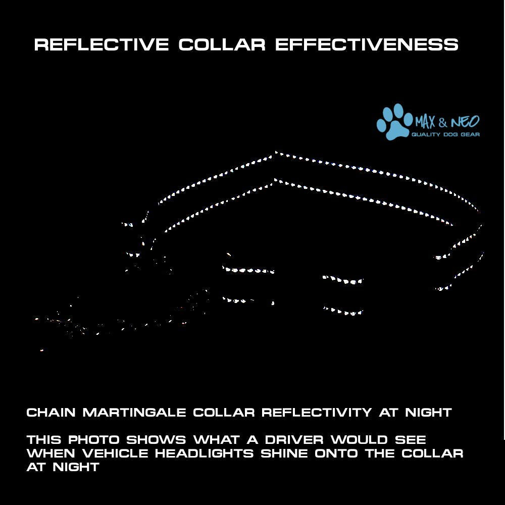 Max and Neo Stainless Steel Chain Martingale Collar - We Donate a Collar to a Dog Rescue for Every Collar Sold (Large, RED)