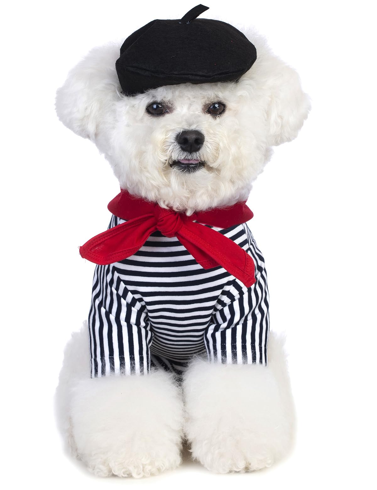 Coomour Artist Dog Costume With Funny Hat Painter Pet Clothes For Small Dog Shirts Puppy Summer T-Shirt (M) Black