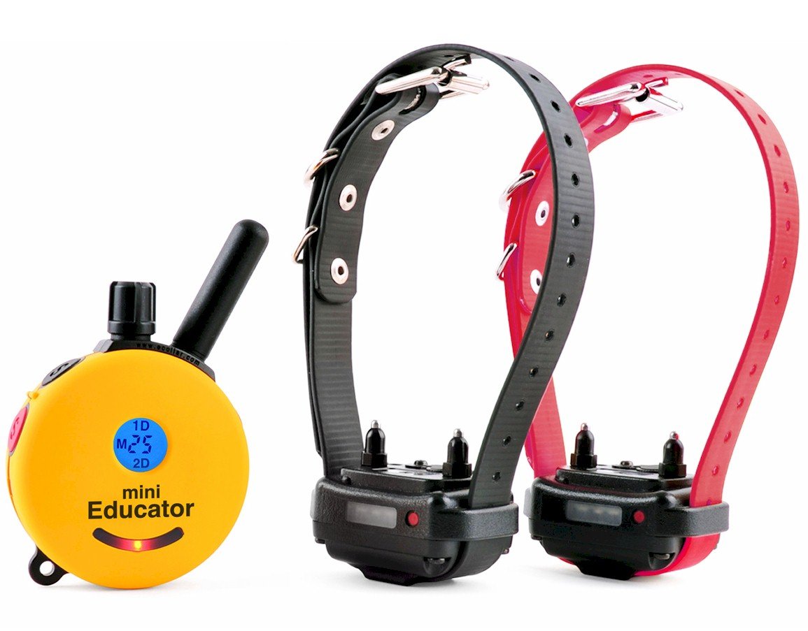 Educator E-Collar Humane Dog Training Collar With Remote, 100 Safe Tapping Stimulation Levels, Night Light, Waterproof, Rechargeable, 1/2 Mile 2 Small-Medium Dogs, Yellow