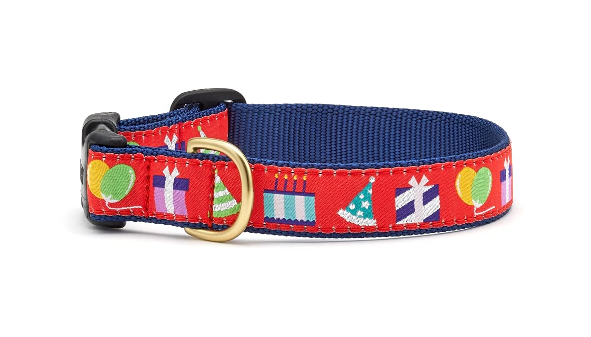 Up Country Birthday Gift Dog Collar, Large (15 To 21 Inches) 1 Inch Wide Width