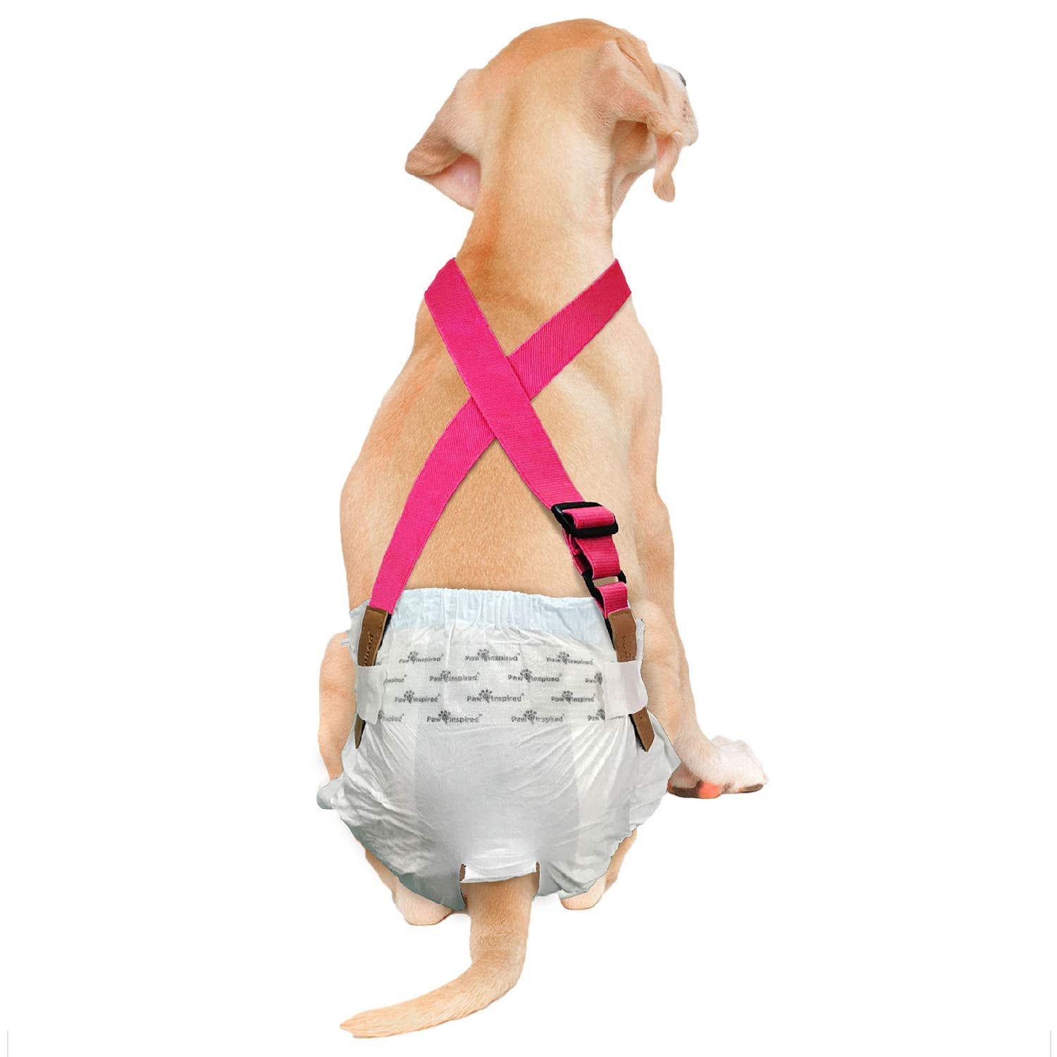 Paw Inspired Dog Diaper Suspenders with hook and loop Fasteners | Stretchy Adjustable Suspenders for Female and Male Disposable 