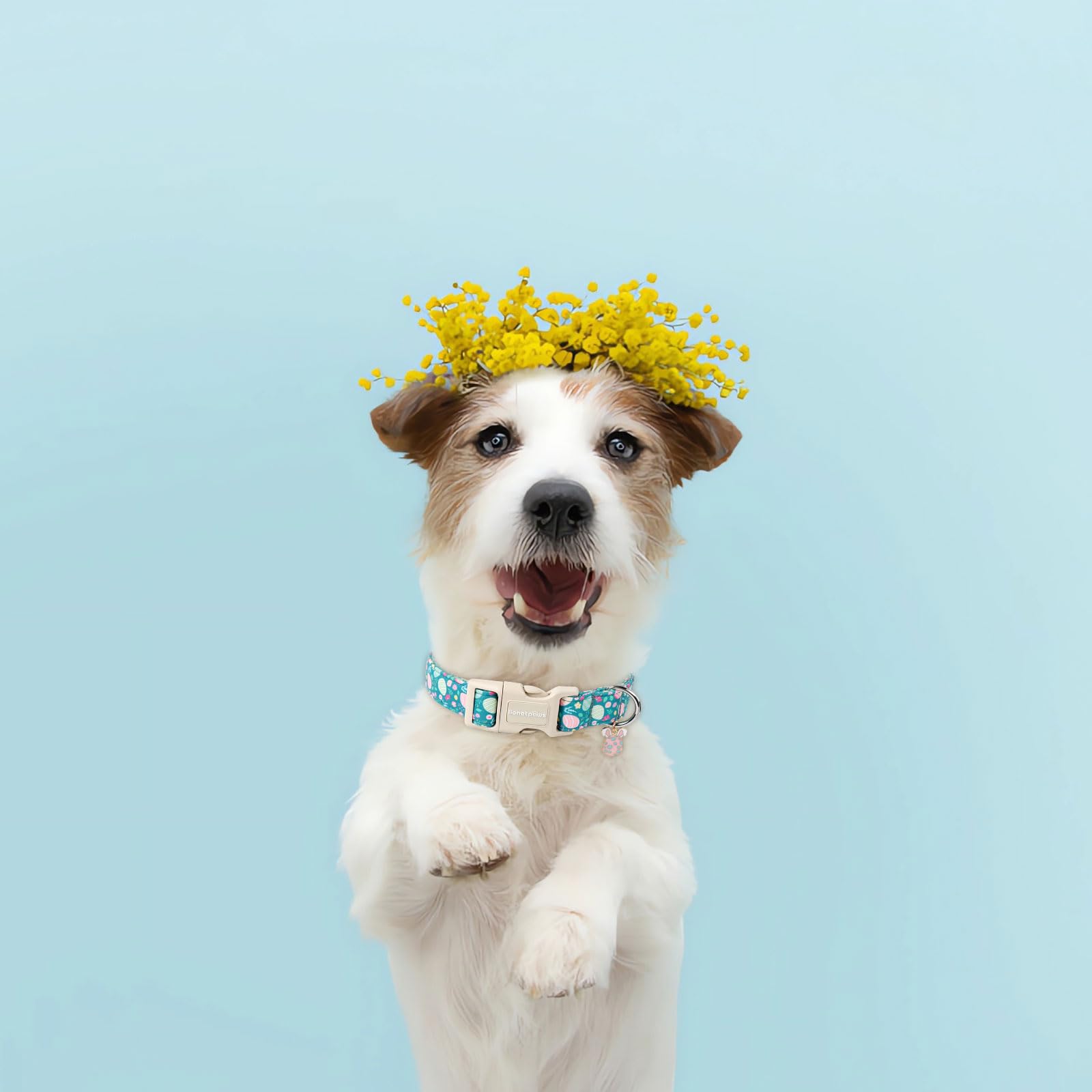 Lionet Paws Easter Dog Collar- Cute Colorful Eggs Green Dog Collars With Plastic Buckle, Light Adjustable Dog Collars With Egg P