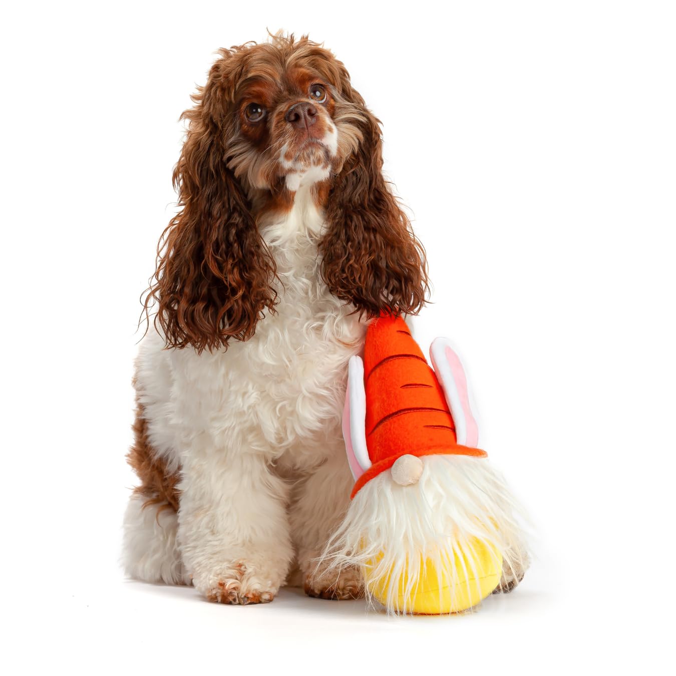 Midlee Easter Bunny Gnome Dog Toy
