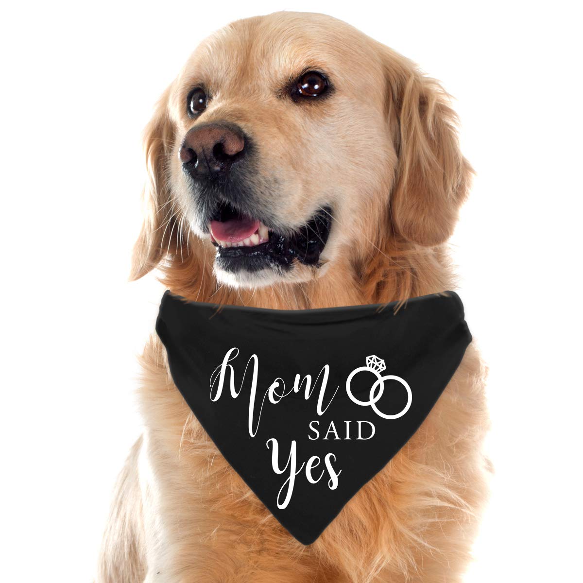 Yangmics Direct Dad Asked Mom Said Yes Dog Black Bandana Pet Wedding Triangle Bibs Engagement Announcement Gifts for Small Mediu