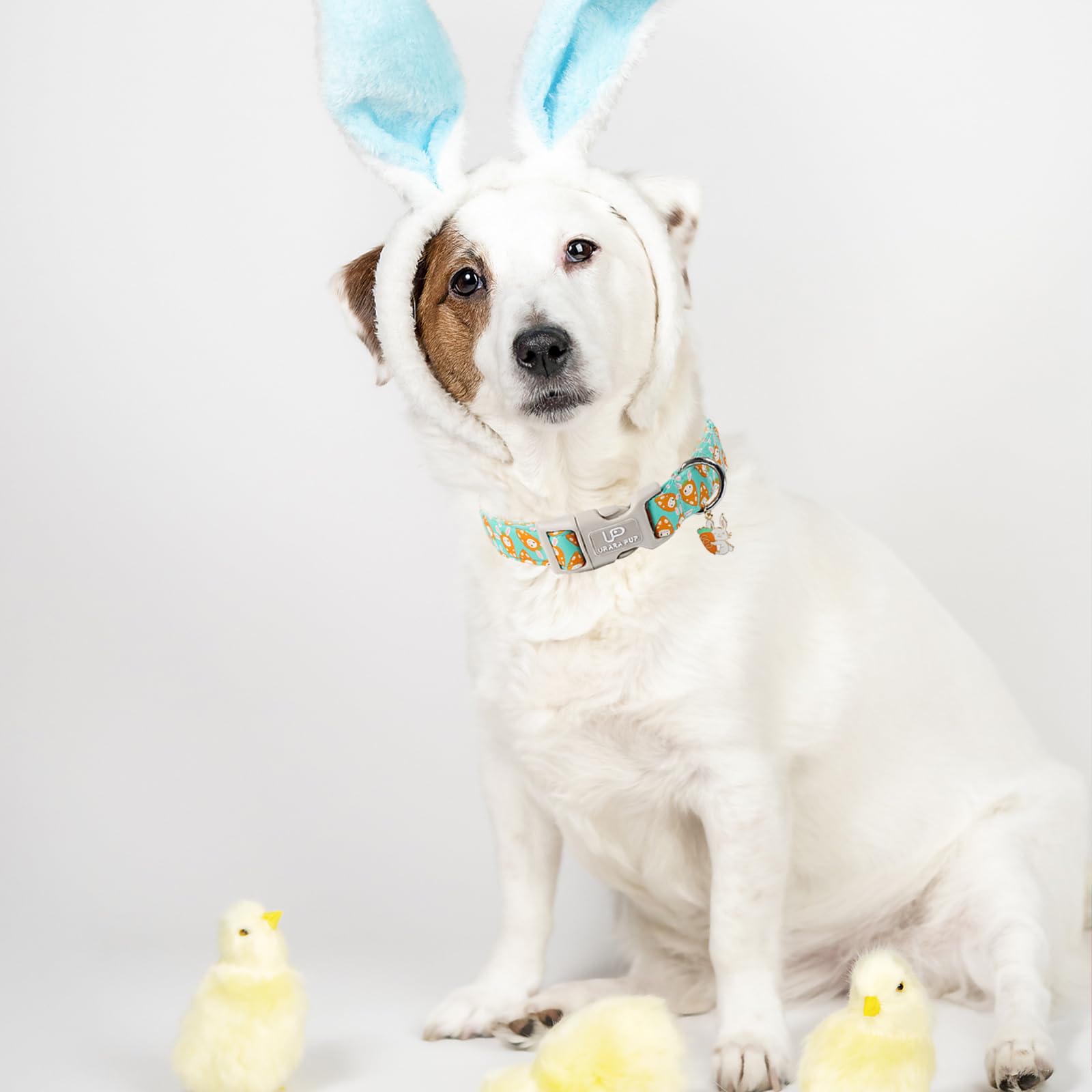 Up Urara Pup Easter Dog Collar, Lovely Cotton Easter Carrot Adjustable Puppy Collar For Girl Boy Dog, Adorable Carrots Collar Fo