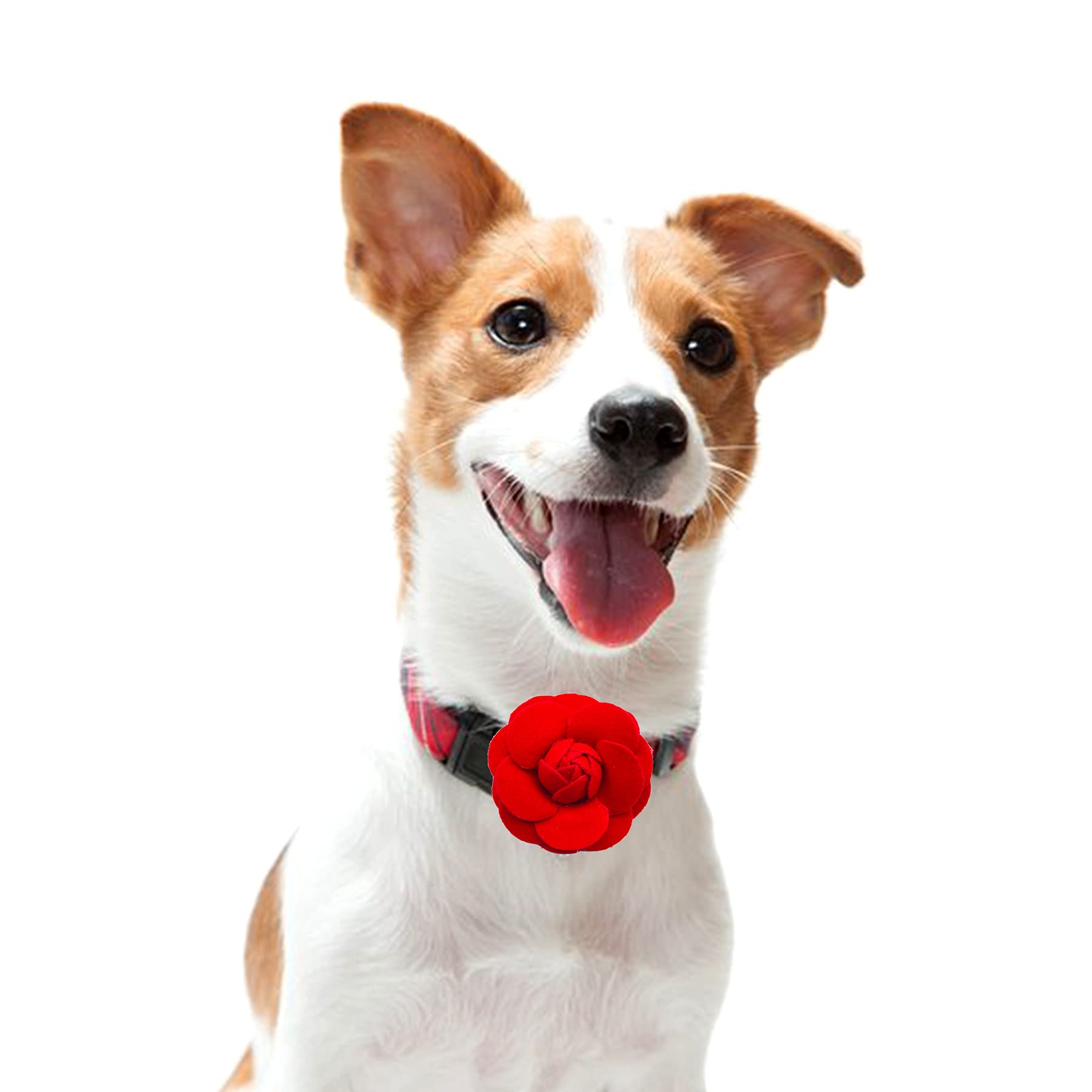 Pet Show 12Pcs Red Dog Collar Bows And Flowers Attachment For Girls Puppies Cats Female Small Medium Dogs Collars Embellishment