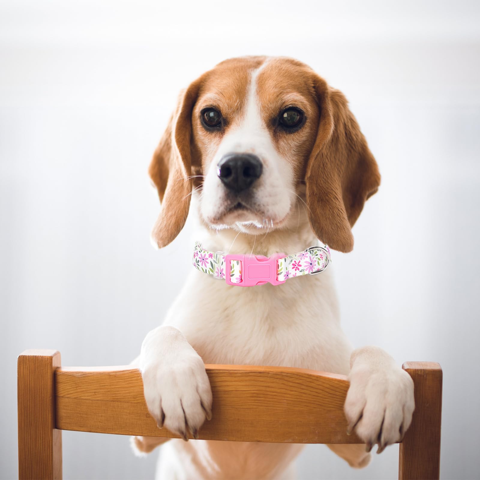 Small Dog Collar For Girl, Dog Collar With Flowers Patterns, Adjustable Comfy Soft Durable Pet Collar For Xs Small Medium Large