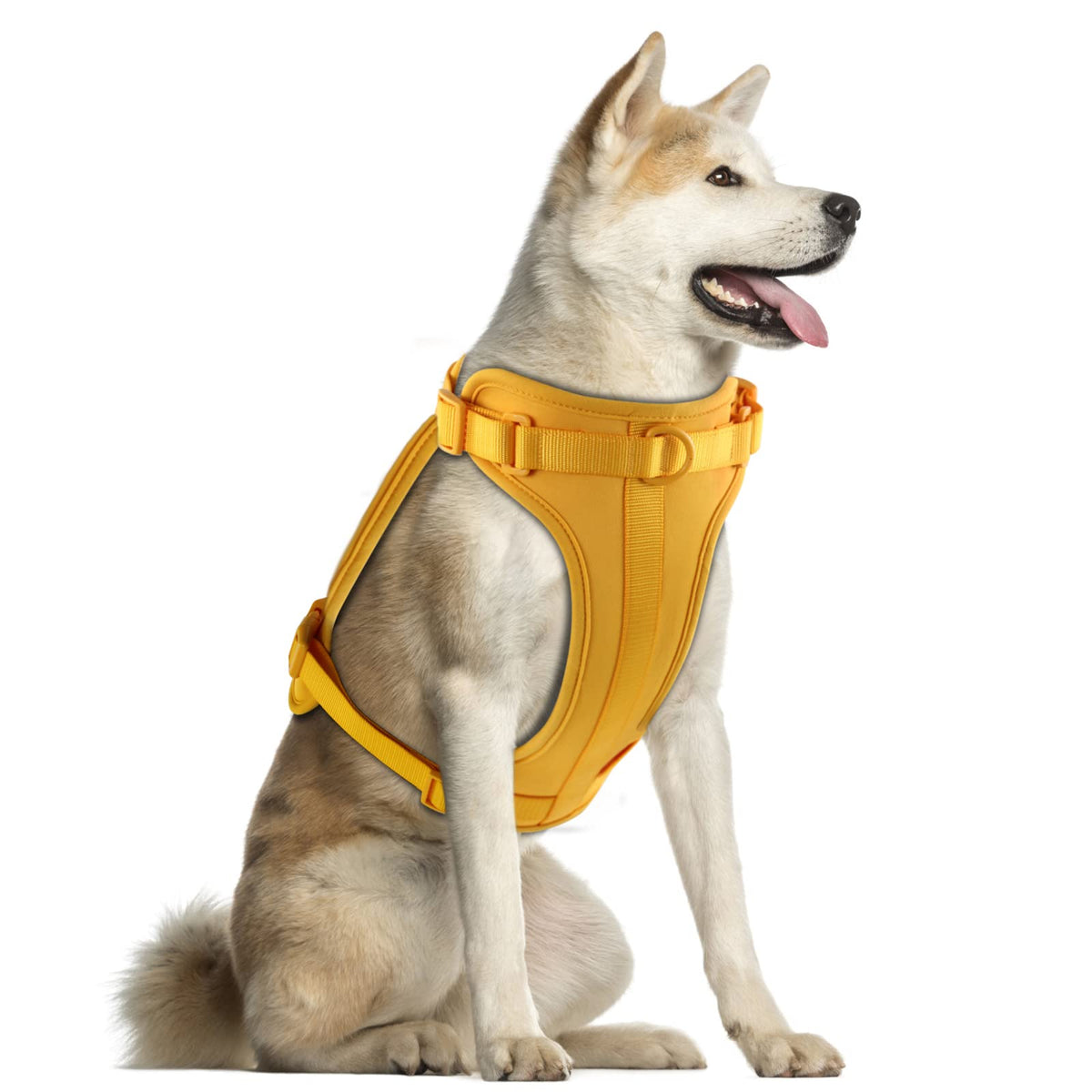 No Pull Lightweight Dog Harness: Adjustable Durable Breathable Mesh Pet Vest Harness With Soft And Comfortable Cushion, Easy To Clean, For Small Medium Large Dogs (L, Daylily Yellow)