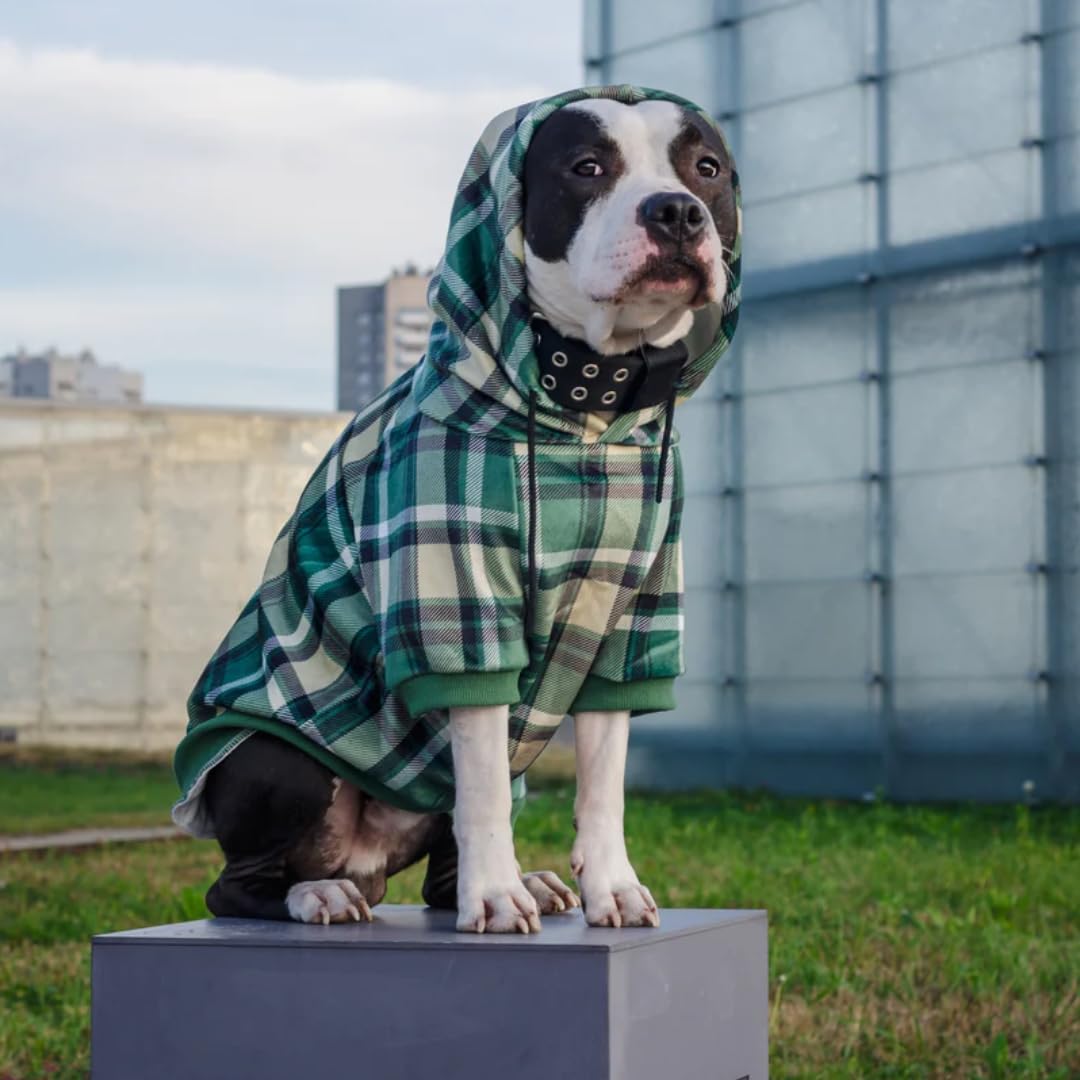 Spark Paws Dog Hoodie - Premium Quality, Buttery Soft, Superior Comfort And Fit, Calming Fleece Interior, Suitable For All Breeds - Green Plaid - L
