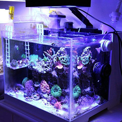 Hipargero 30W Aquarium LED Light A029 – Touch Control, Timer, & 5W LED Chips for Coral Reef & Marine Tanks – Black