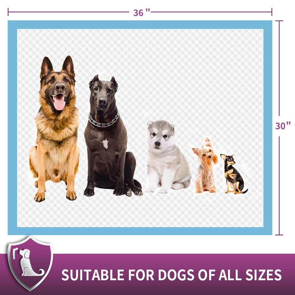 Immcute Extra Large Dog Pee Pads 30'X36'-30 Ct | Xx-Large Puppy Pee Training Pads Super Absorbent & Leak-Proof | Disposable Pet Piddle And Potty Pads For Puppies | Dogs | Doggie| Cats | Rabbits