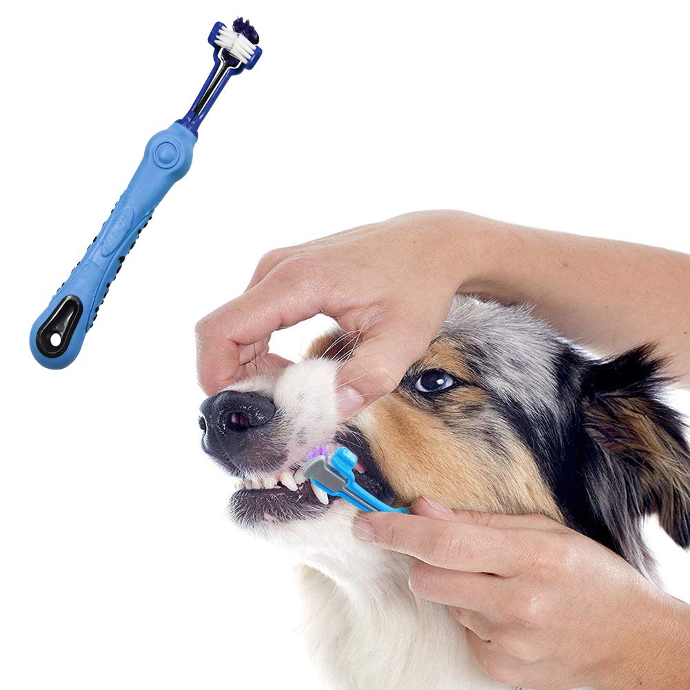 Orgrimmar 3-Sided Pet Toothbrush Dog Toothbrush Removing Bad Breath Tartar Cleaning Mouth Pet Dental Care Cat Cleaning Mouth (Pa