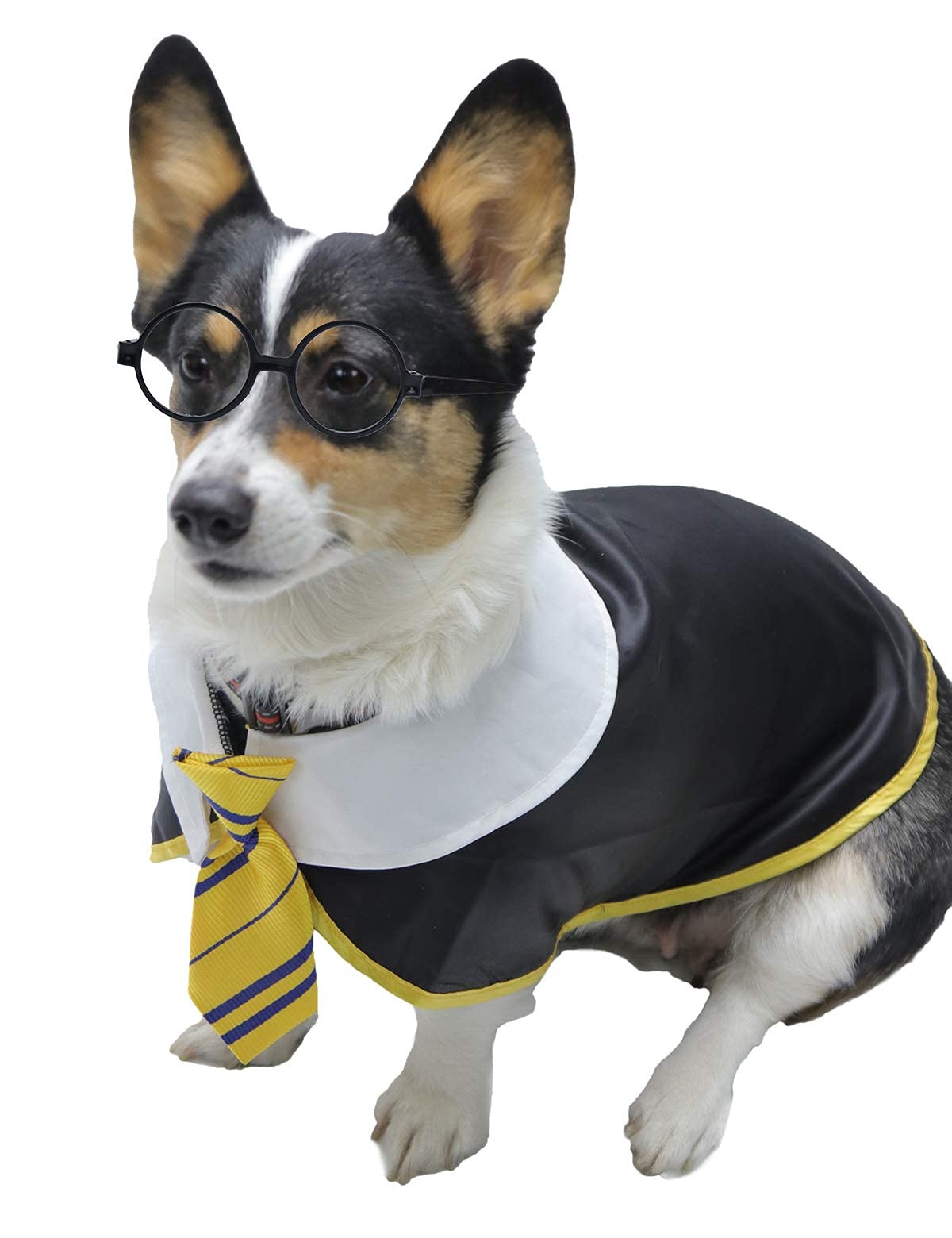 Impoosy Pet Dog Halloween Shirts Funny Cat Wizard Costume Pet Cute Apparel Soft Clothes With Glasses (Medium,Neck:14')