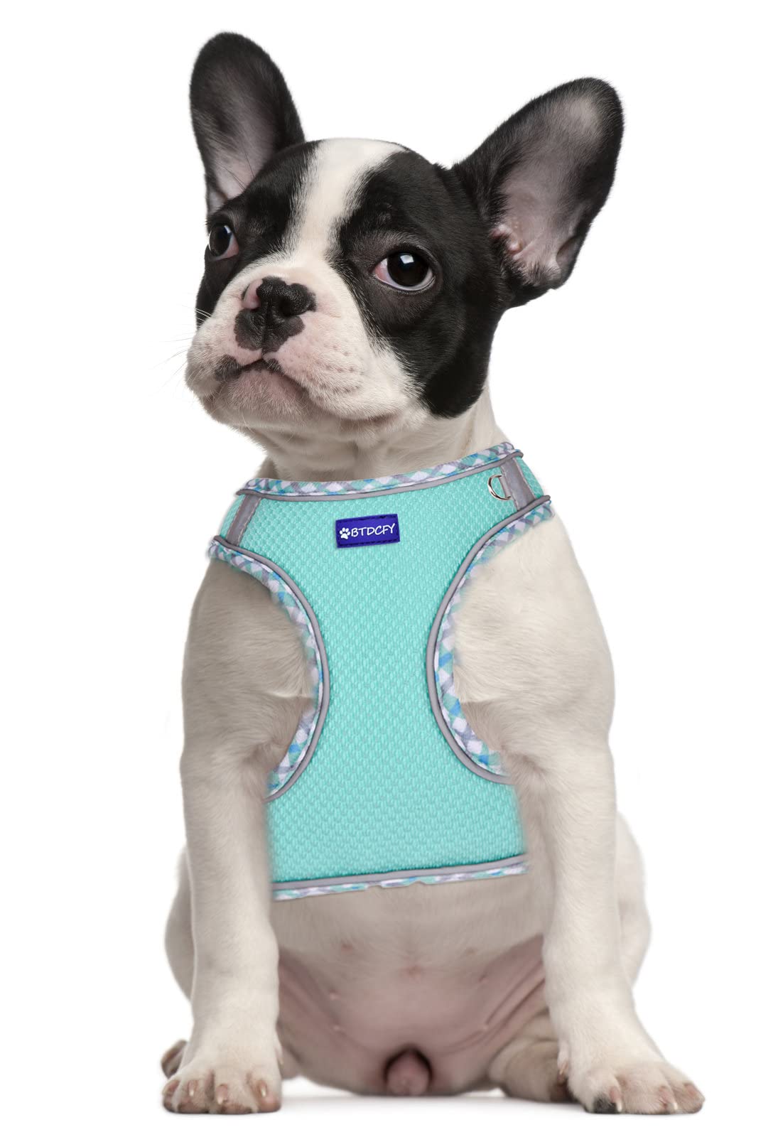 Btdcfy Step In Mesh Dog Harness And Leash Set - Breathable Air Mesh Reflective Escape Proof Vest - No Choke, Lightweight - Green