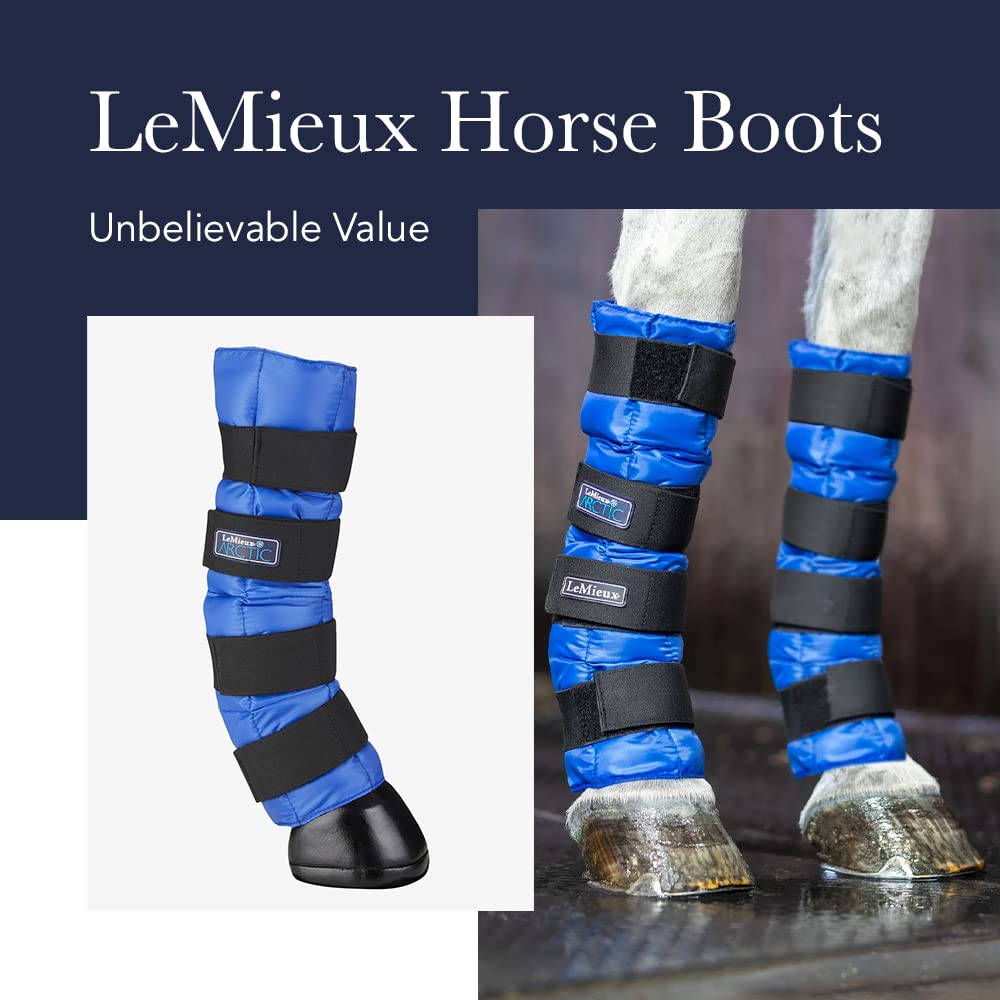 Lemieux Proice Freeze Therapy Horse Boots - Protective Gear And Training Equipment - Equine Boots, Wraps & Accessories - Large
