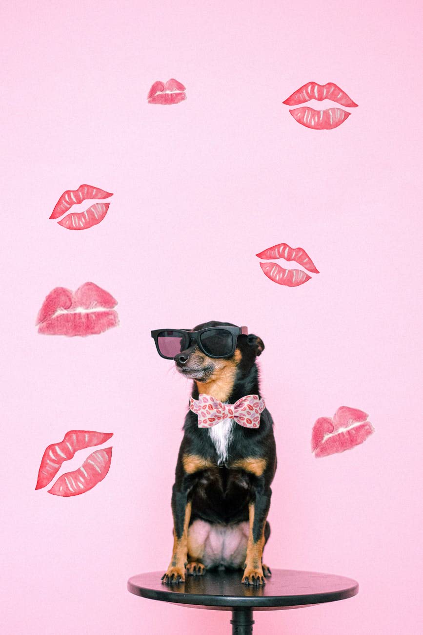 Unqiue Style Paws Valentine'S Lips Dog Collar, Soft And Cute Dog Bow Tie, Holiday Durable Pet Collar With Bow Adjustable Collar For X-Small Puppy