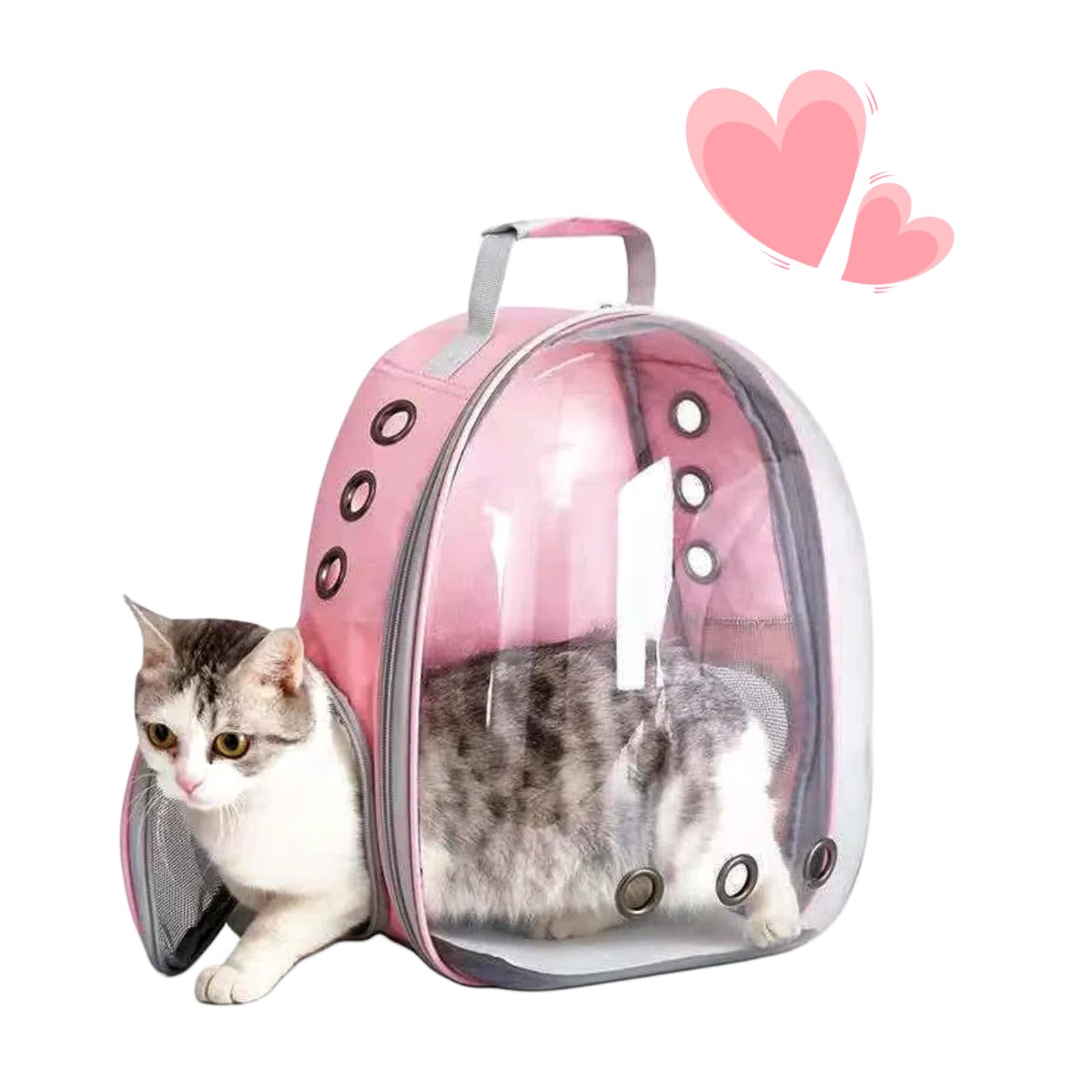 Cat Backpack Bubble, Cats And Dogs Pet Carrier Hard, Suitable For Cats Traveling Cat Bag Carrier, Transparent Outdoor Waterproof