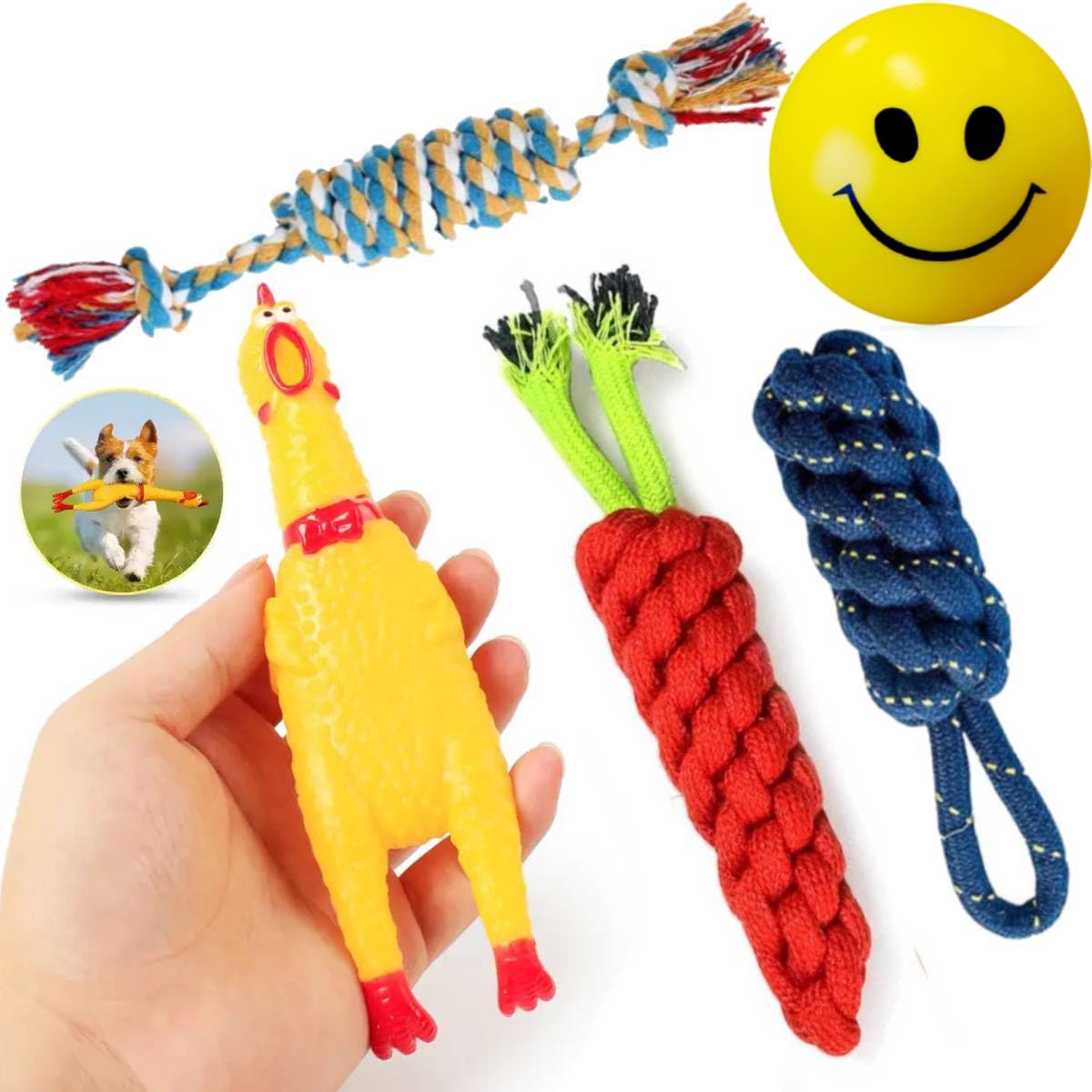 PETZLUV Dog Ball & Puppies Toys Combo Pack  Durable Rubber Spike Ball, Squeaky Toy, Soft Foam Ball, and Interactive Chew Rope T