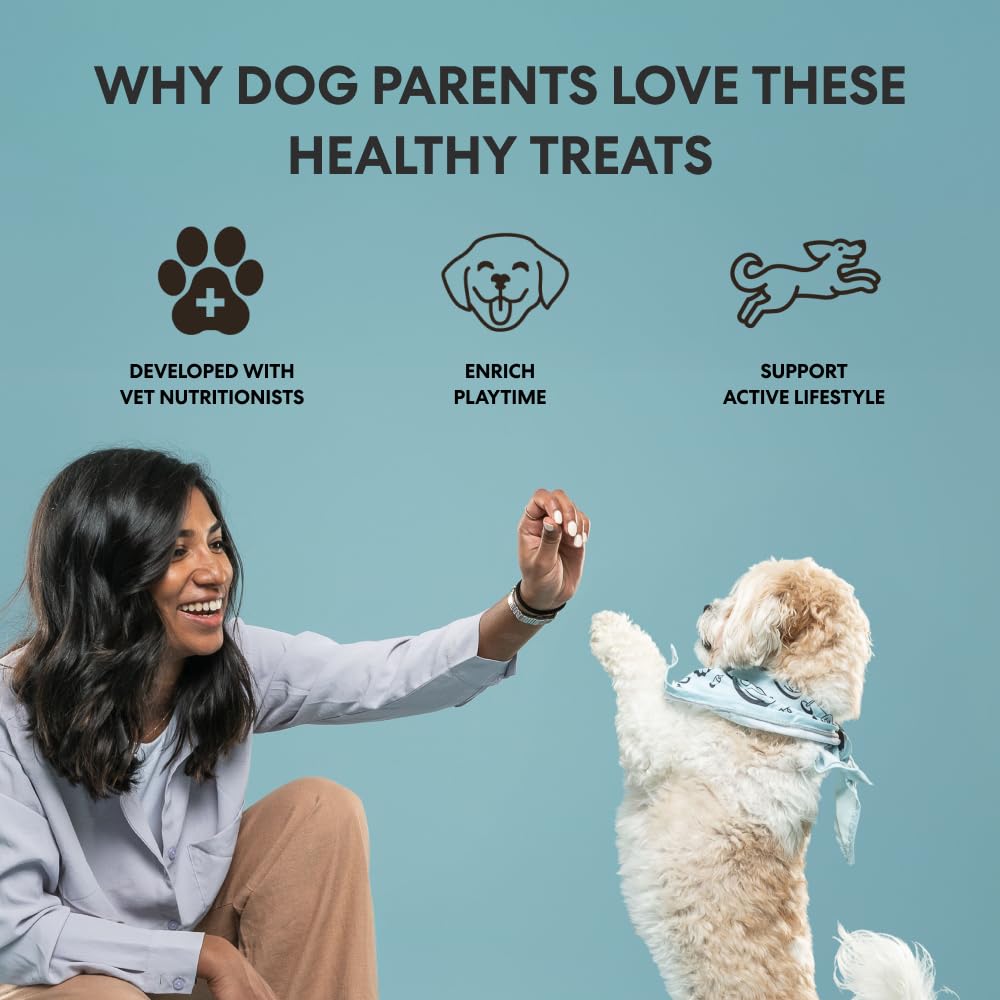 The Pets Table Air-Dried Healthy Dog Treats, Limited Ingredient Diet, 8 oz - Perfect for Picky Eaters