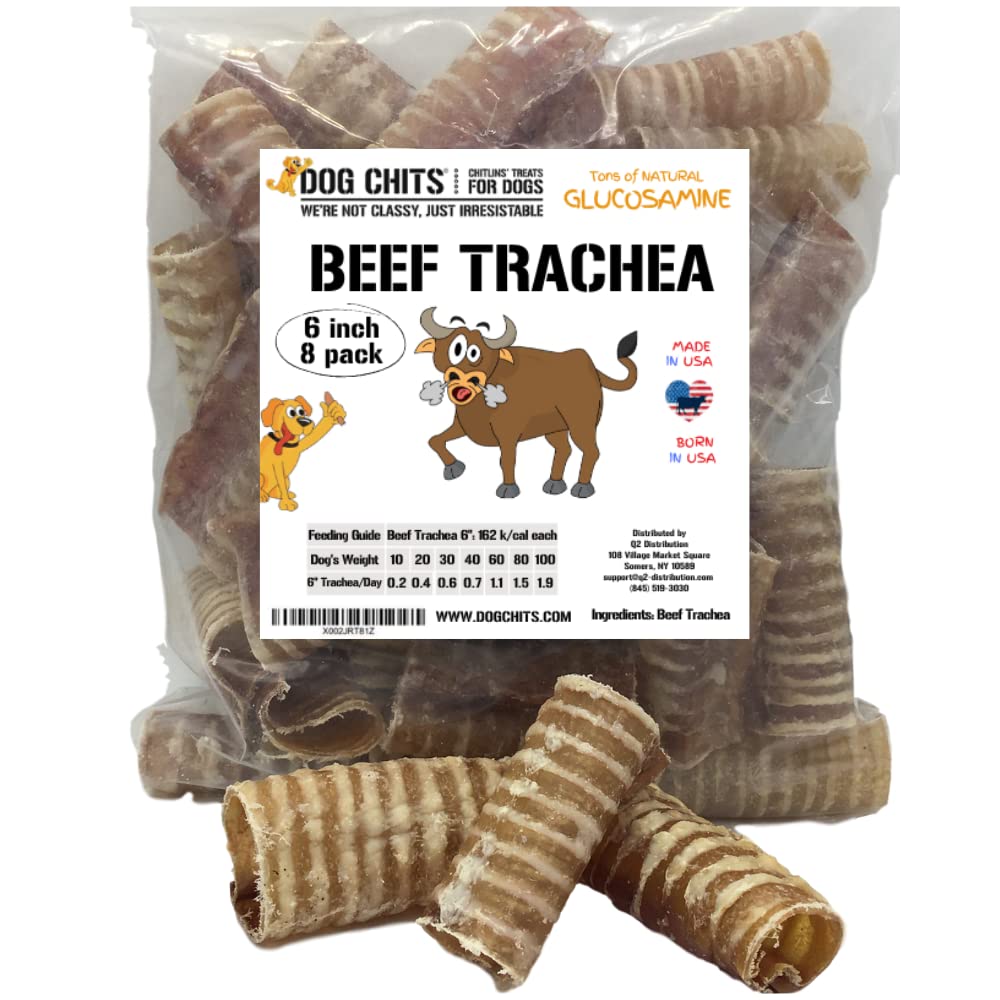 Dog Chits Beef Trachea for Dogs - Dog and Puppy Chews | Amazing for Joints | Made in USA | 6 in, 8 Pack | All-Natural Treats | L