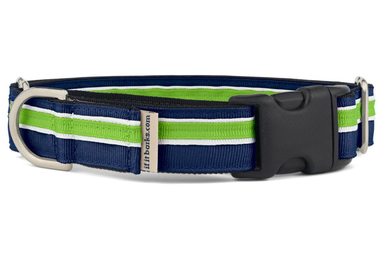 If It Barks 1'' Martingale Collar With Quick Snap Release Buckle, Adjustable, Usa Made, Medium, Finley