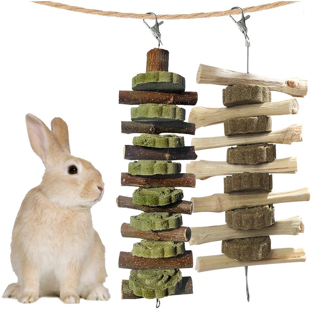 kathson Bunny Chew Toys for Teeth, Guinea Pig Wood Chews Chinchilla Apple Wood Bamboo Sticks Rabbit Organic Treats for Rodent Sm
