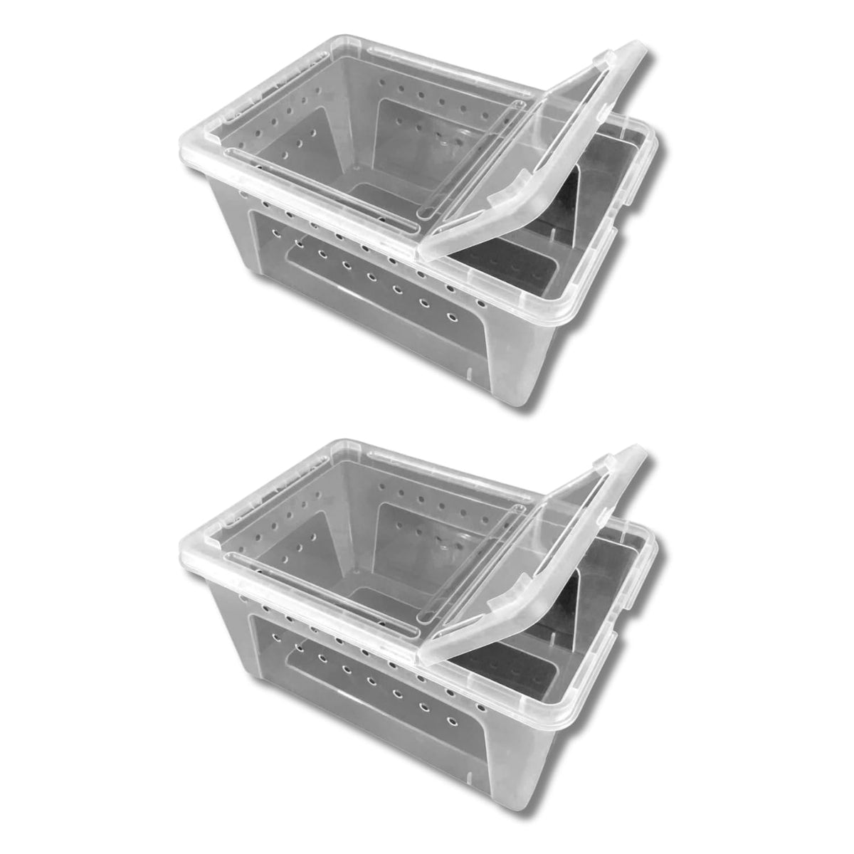 Jungle Bob - Clear Plastic Reptile Terrarium Box - Easy Pet Transportation - Enclosure For Small Herps - Side Ventilation - Clea