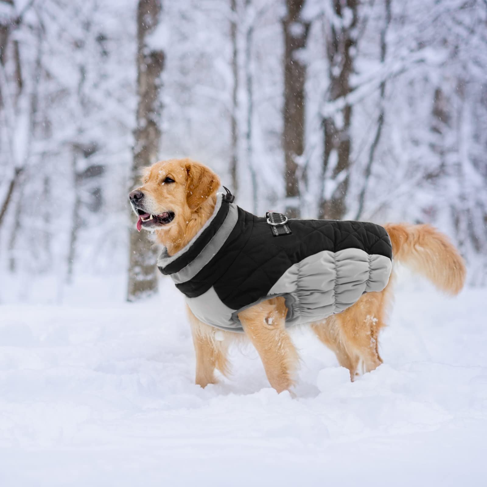 Lelepet Warm Dog Winter Coat Dog Coat Fleece Dog Jacket With Built In Harness Windproof Dog Cold Weather Coats Reflective Turtle