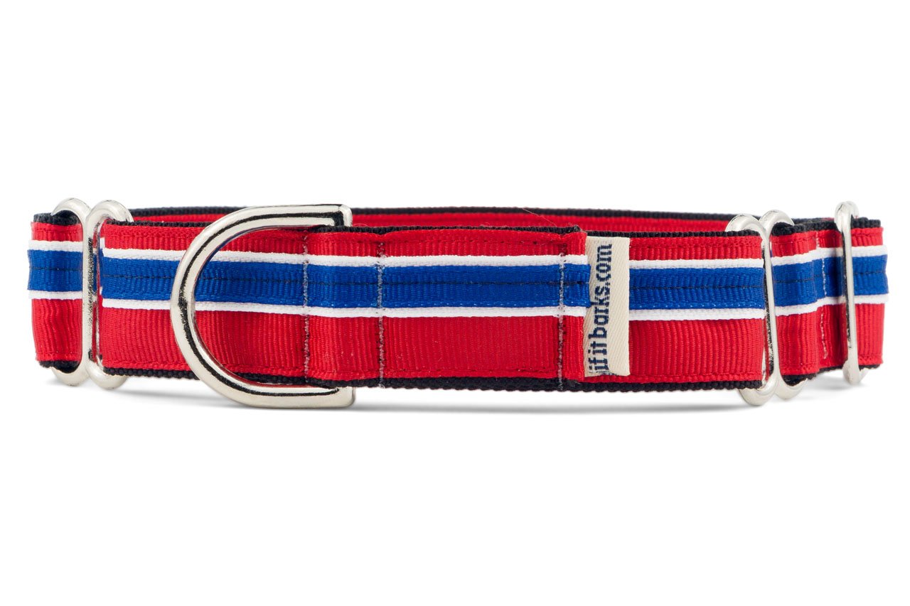 If It Barks 1'' Martingale Collar For Dogs, Adjustable Nylon, Usa Made, Large, Patriotic