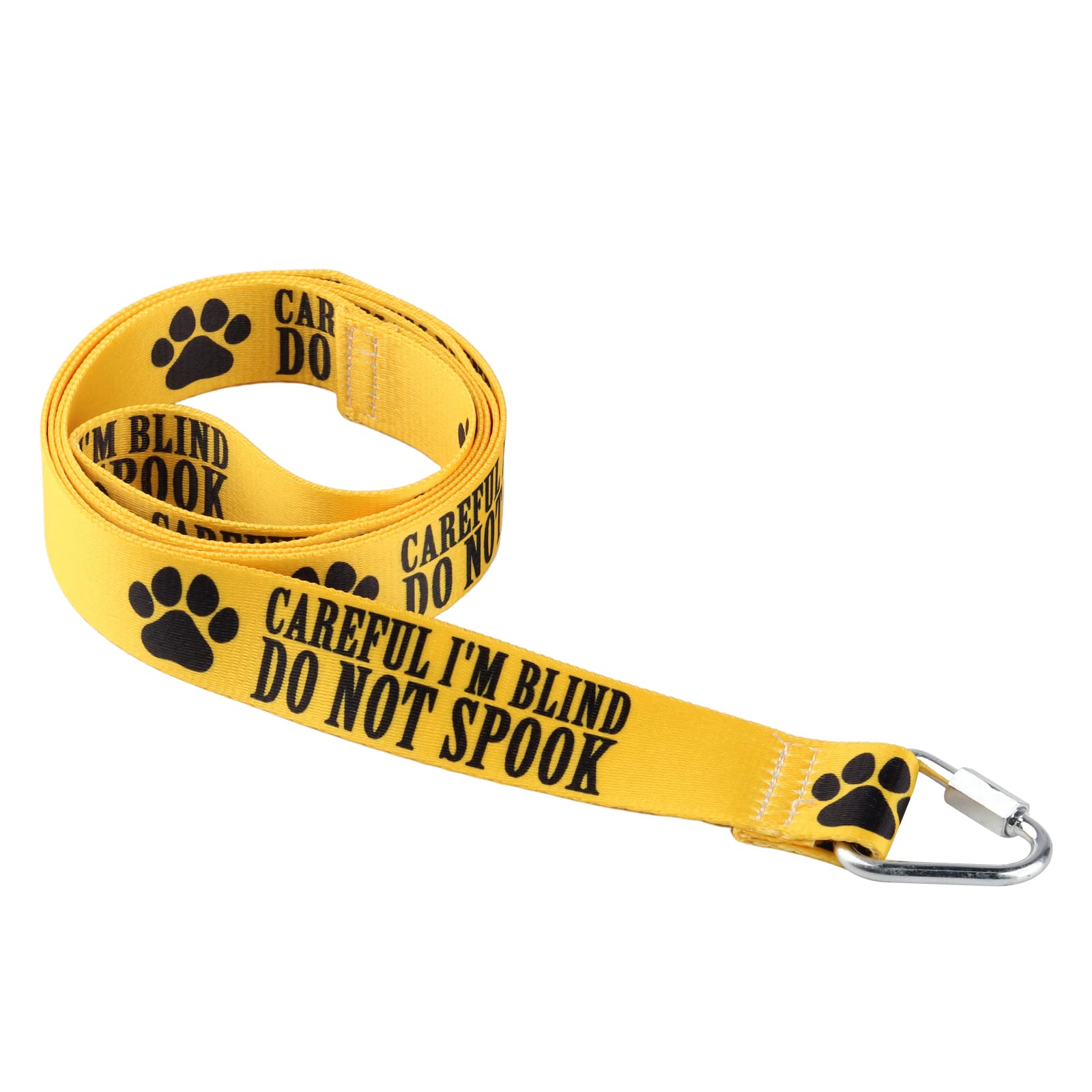 Visual Impairment Dog Leash Careful I'M Blind Do Not Spook Dog Leash Walking Training Dog Leashes Dog Owner Pet Lover Gift (Care