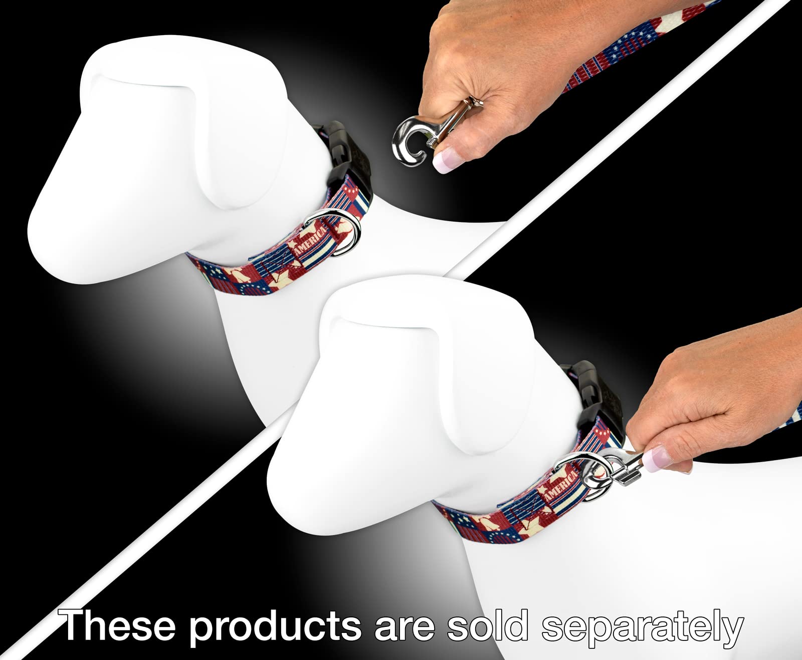 Country Brook Petz - Spirit of 76 Dog Leash - American Pride Collection Featuring Patriotic Designs (4 Foot, 5/8 Inch Wide)