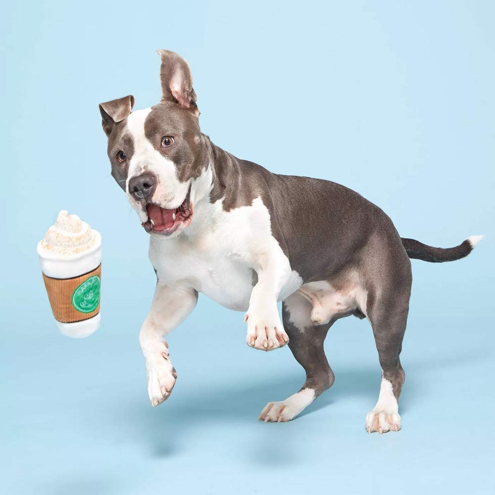 Bark Cup Of Bark Roast Coffee Cup Dog Toy