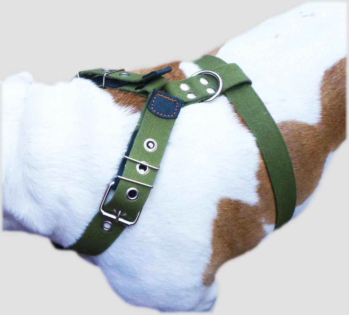 Cotton Web Dog Harness Large. Fits Girth 29'-34.5'. 1.5' Wide Straps, Rottweiler, Doberman, Boxer
