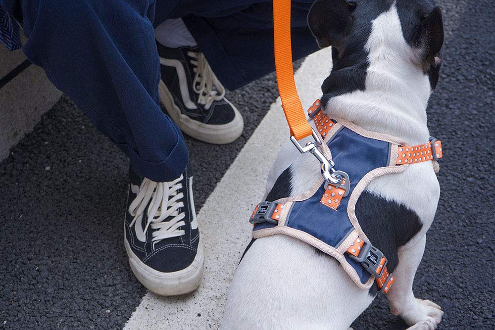 Cute Dog Harness Pet Soft Adjustable Vest Best Reflective Walking Harness Easy Control For Small Medium Large Dogs Orange S