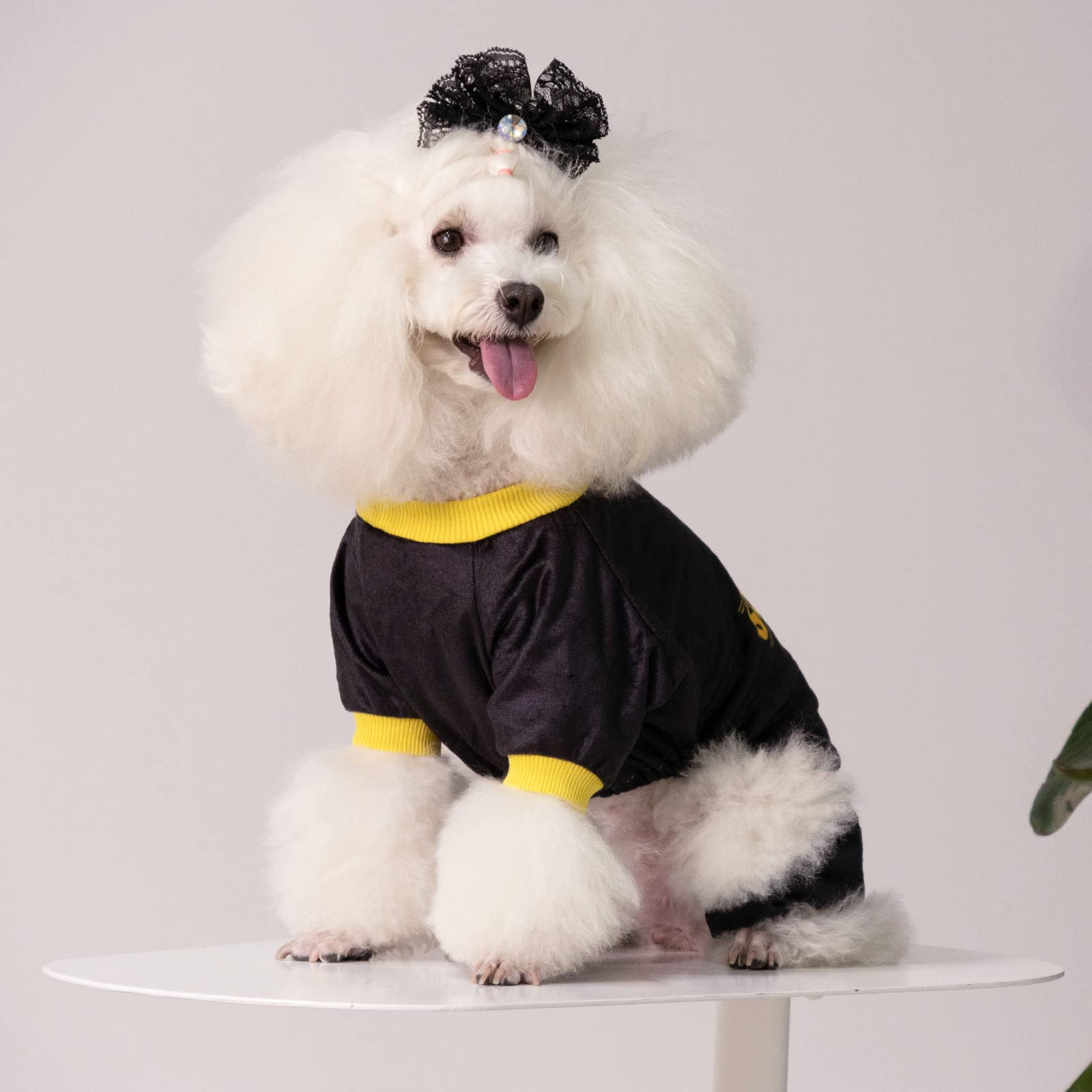 Cutebone Dog Pajamas Soft Cat Clothes Cute Puppy Apparel Doggie Outfit Pet Pjs Onesie P264M