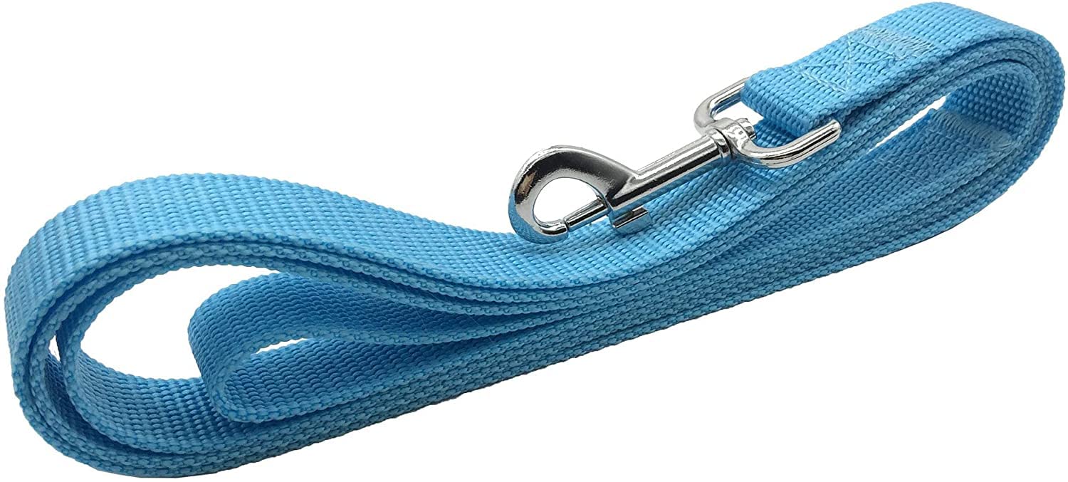 Taian 4Ft/5Ft/6Ft Strong Dog Leash, Nylon Dog Leashes For Small Medium Large Dogs (Blue, 1 In X 10 Ft)