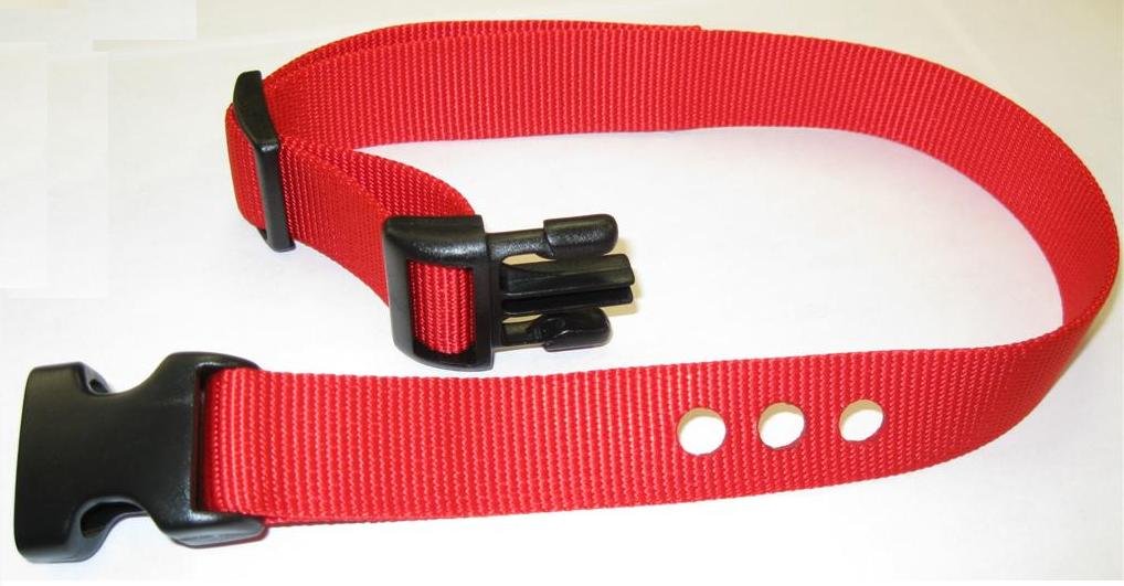 Grain Valley 1'' Replacement Strap, Color: Red. Sold Per Each. Fits Most Petsafe Bark Collars And Many Containment Collars. (No-
