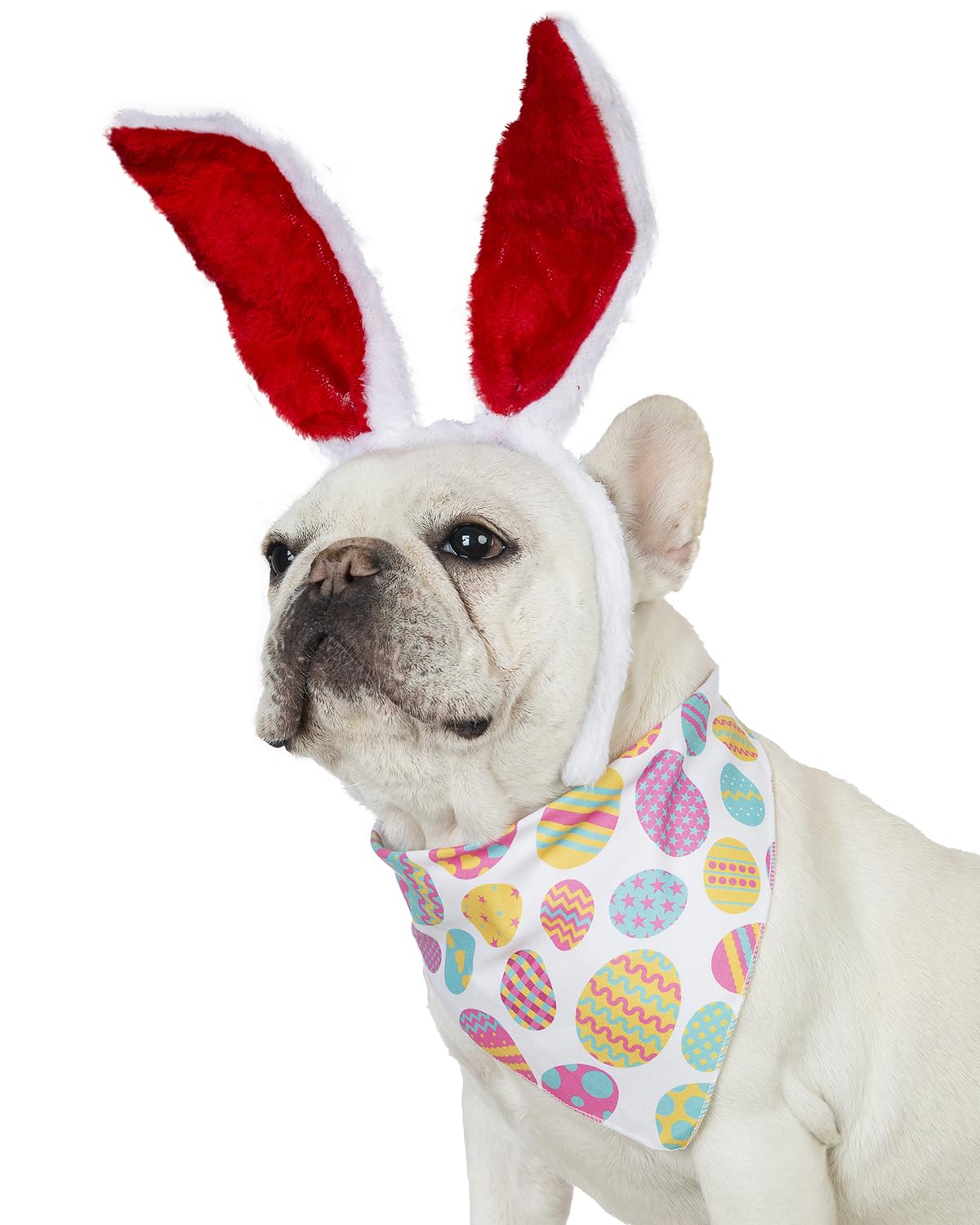 Cooomour 2Pcs Dog Easter Costume Cute Pet Bunny Hat And Dogs Easter Eggs Bandanas For Small Dog Or Cat Easter Headband (One)