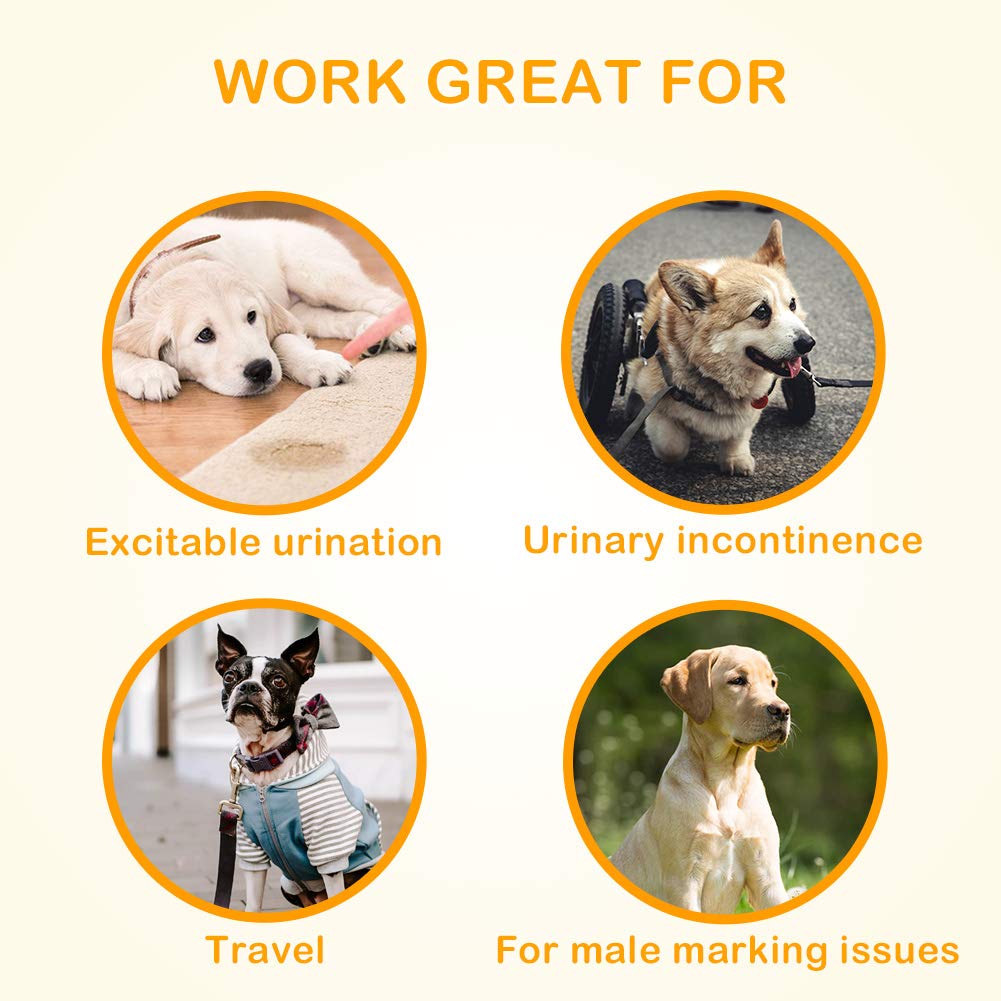 Dono Disposable Dog Diapers Male Dog Wraps Super Absorbent Soft Diapers For Male Dogs,With Wetness Indicator,12Pcs,S (12'-19')