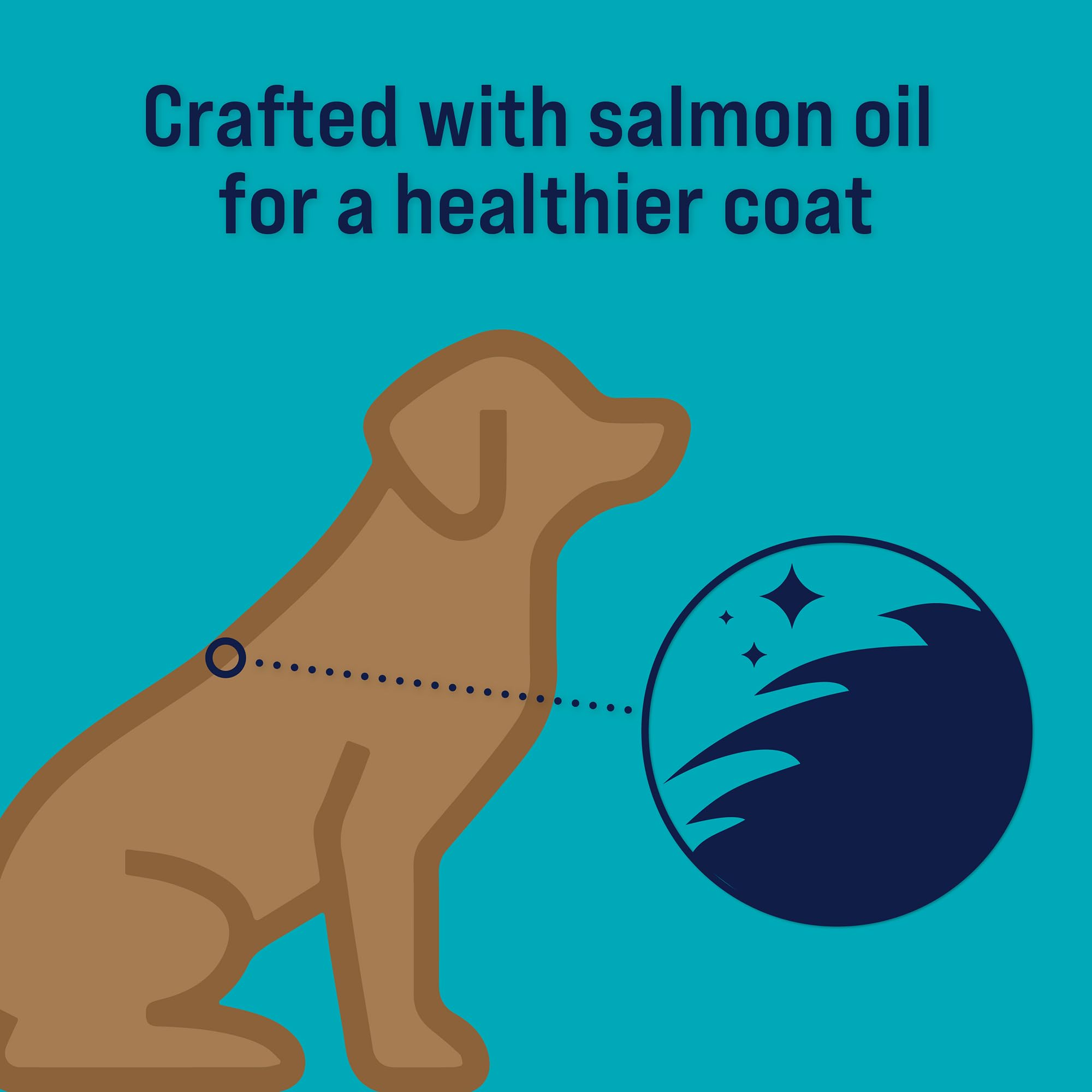 Stewart Shine Freeze Dried Salmon and Sweet Potato Treats with Omega-3 Fatty Acids