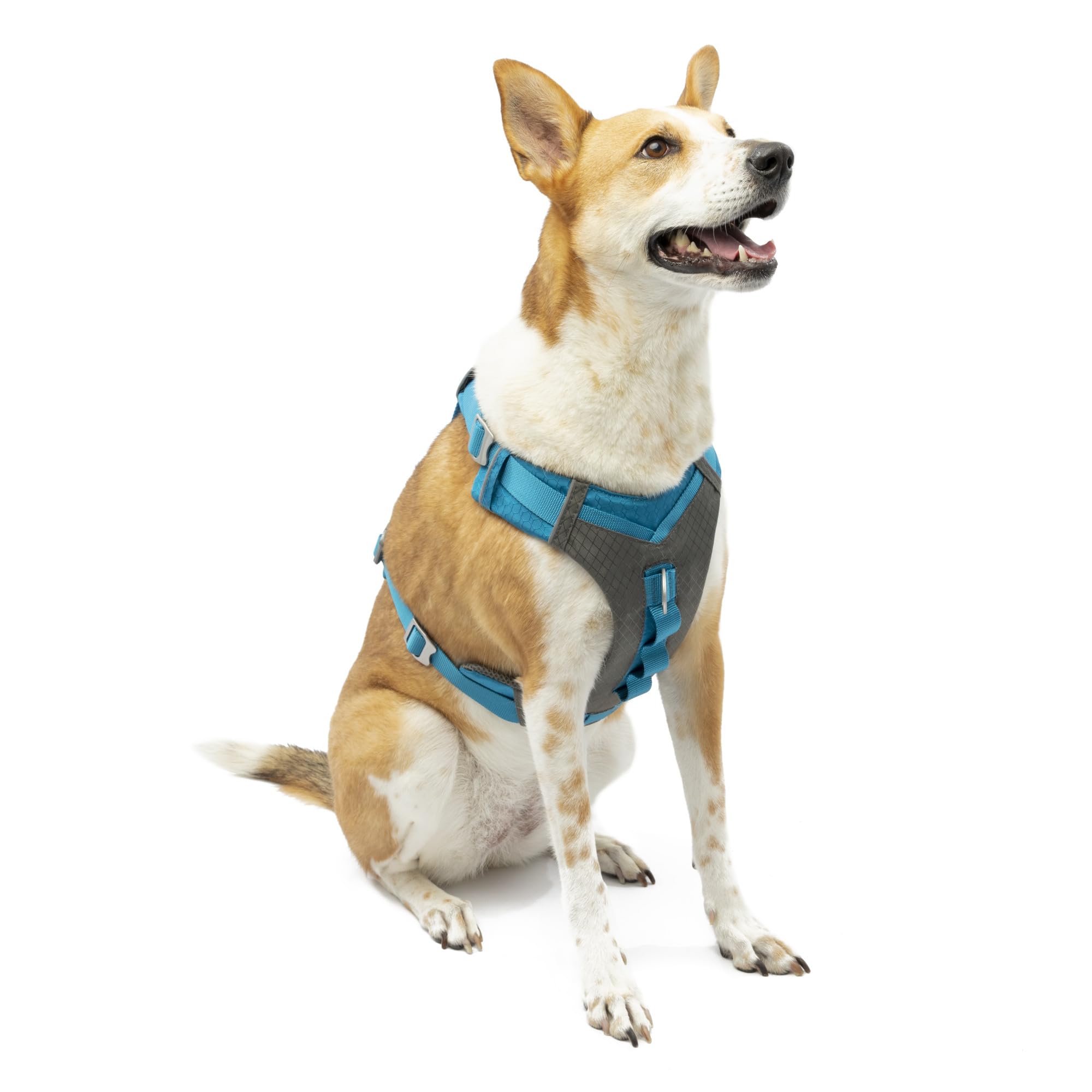Kurgo Journey Air Dog Harness, Vest Harnesses For Dogs, Pet Hiking Harness For Running & Walking, Reflective, Padded, Includes Control Handle, No Pull Front Clip (Blue, Large)