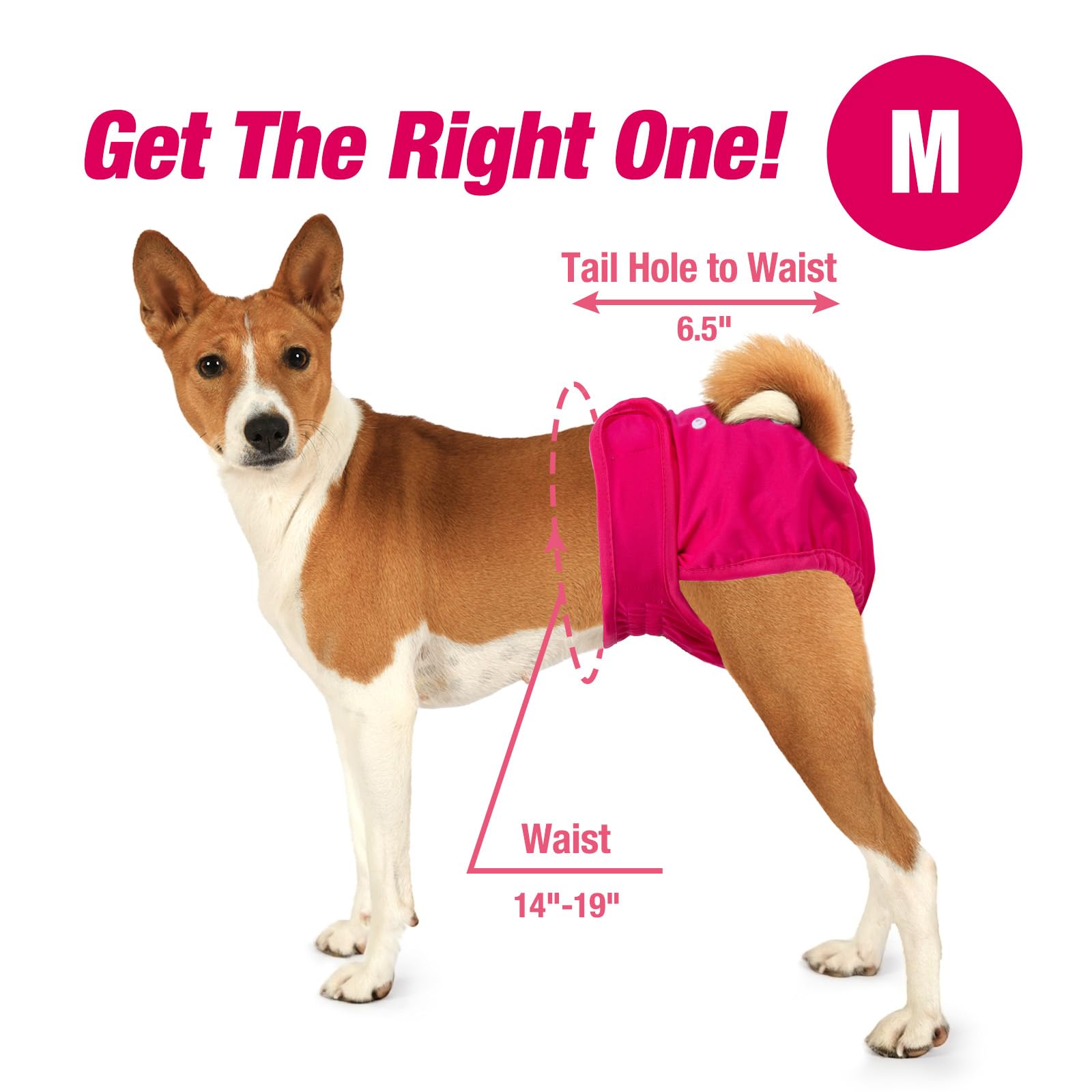 Pet Soft Washable Female Diapers (3 Pack) Female Dog Diapers, Comfort Reusable Doggy Diaper For Girl Dog In Period Heat (Classy,