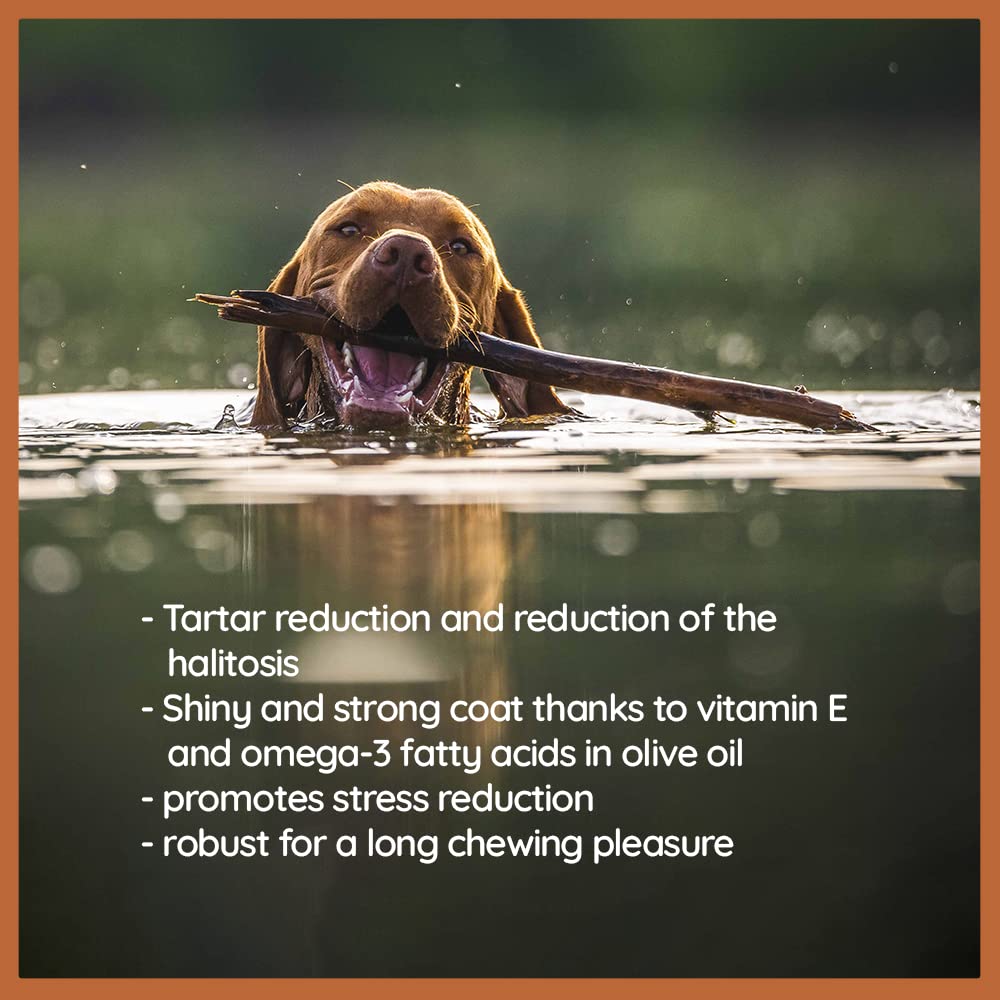 Wildfang® Olive Wood Dog Chew Puppy Teething Toys Dog Stick Toy-Long Lasting Natural Chew Toys For Dogs, Root Chews For Dogs, Wooden Dog Chew Stick, Tree Root Dog Bones, Wood Chew For All Dogs-Medium