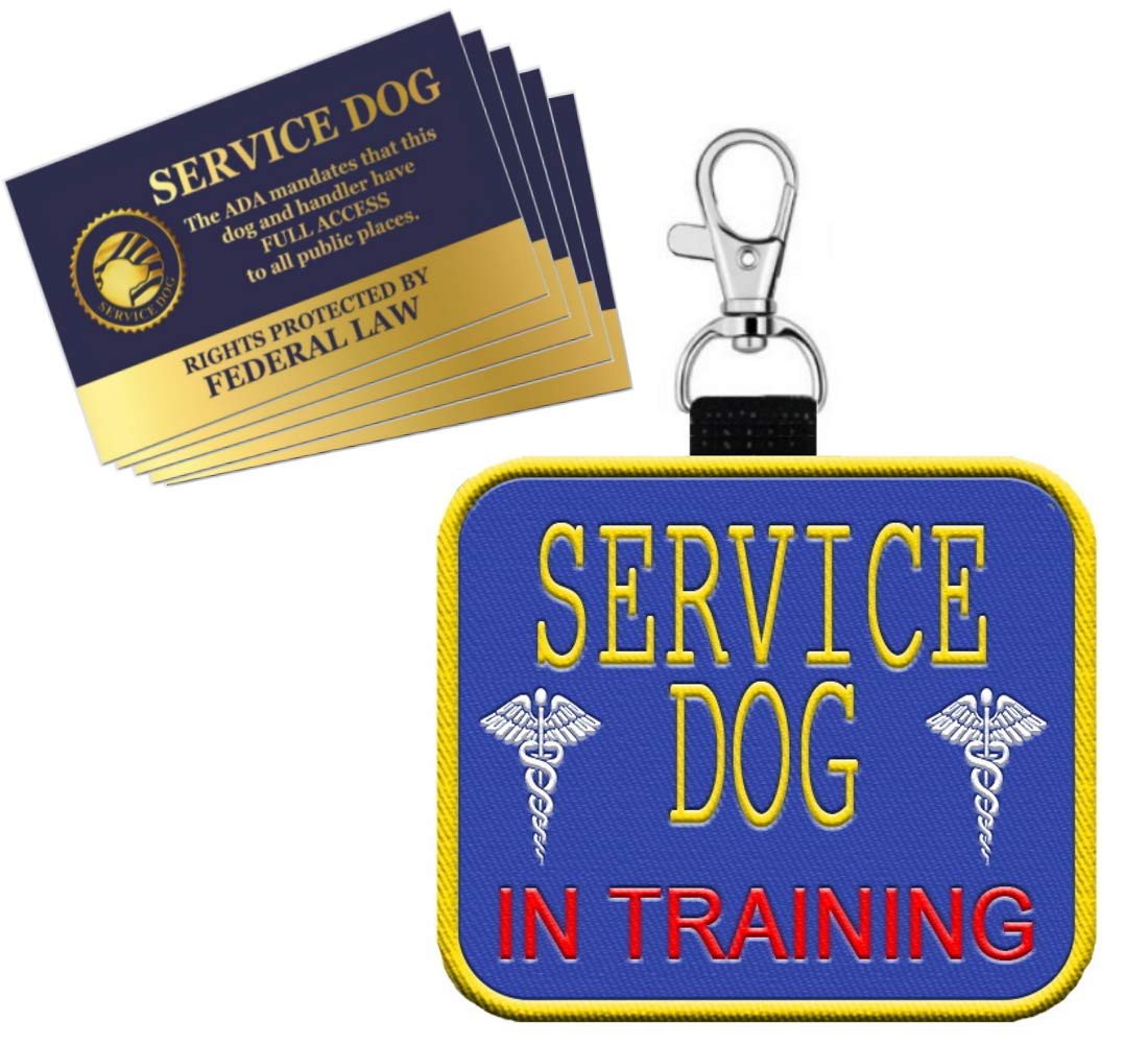 'Service Dog In Training'' - Clip On Identification Patch Tag - Includes Five Service Dog Handout Cards - Clips Onto A Service 