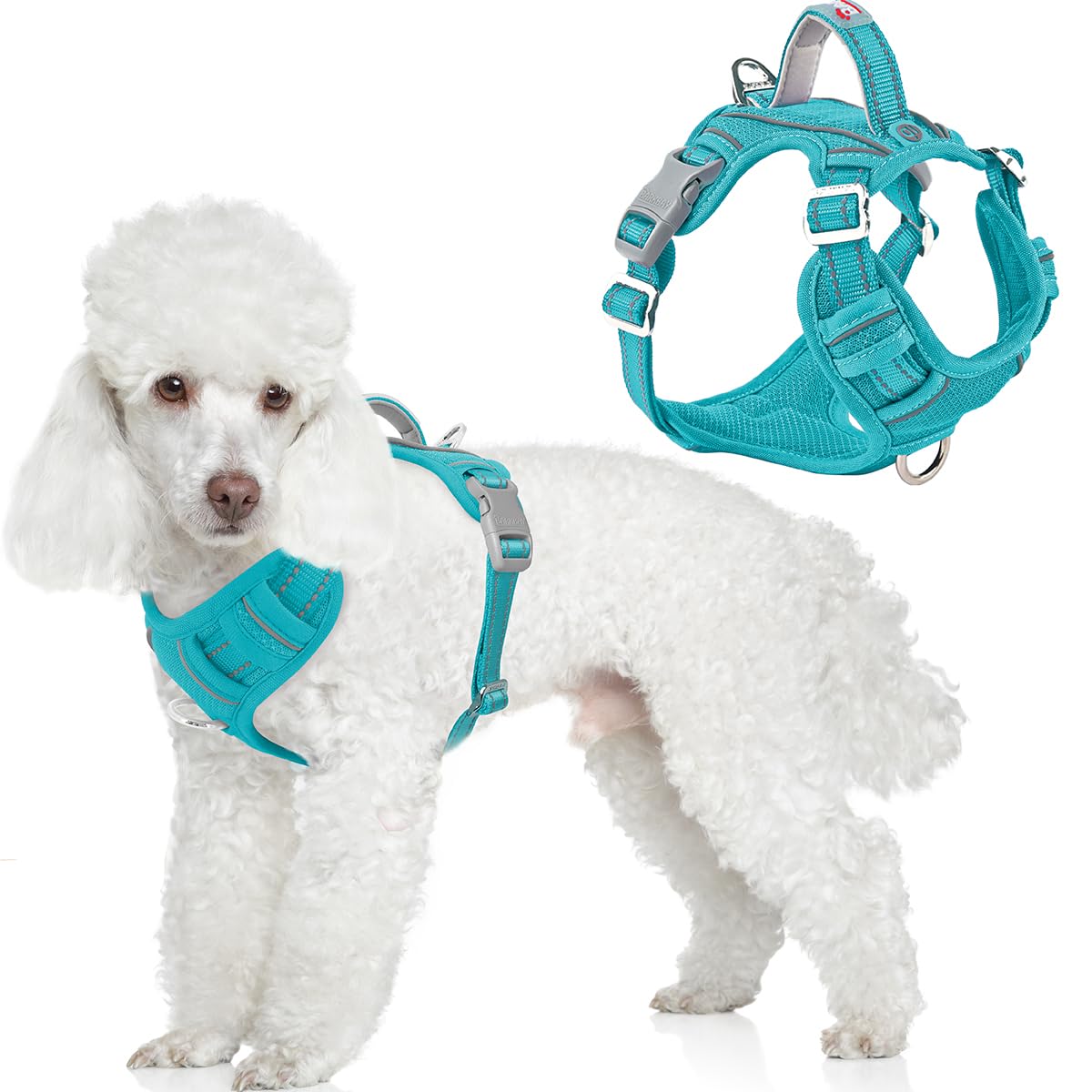 BARKBAY Dog Harness No Pull with ID Tag Pocket - Heavy Duty, Reflective, Easy Control for Large Dogs(Ocean Blue,XS)
