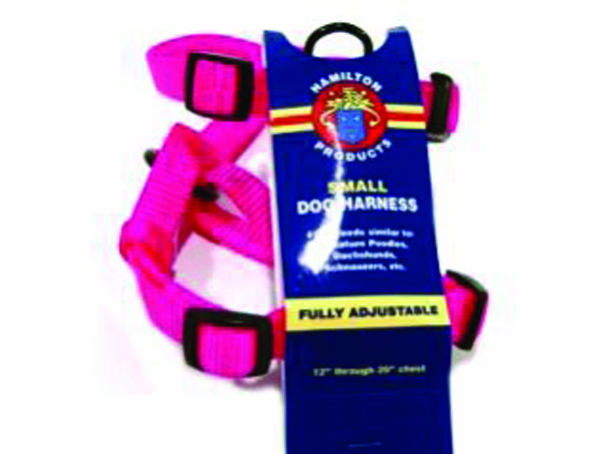 Hamilton Adjustable Comfort Nylon Dog Harness, Hot Pink, 5/8'' x 12-20''